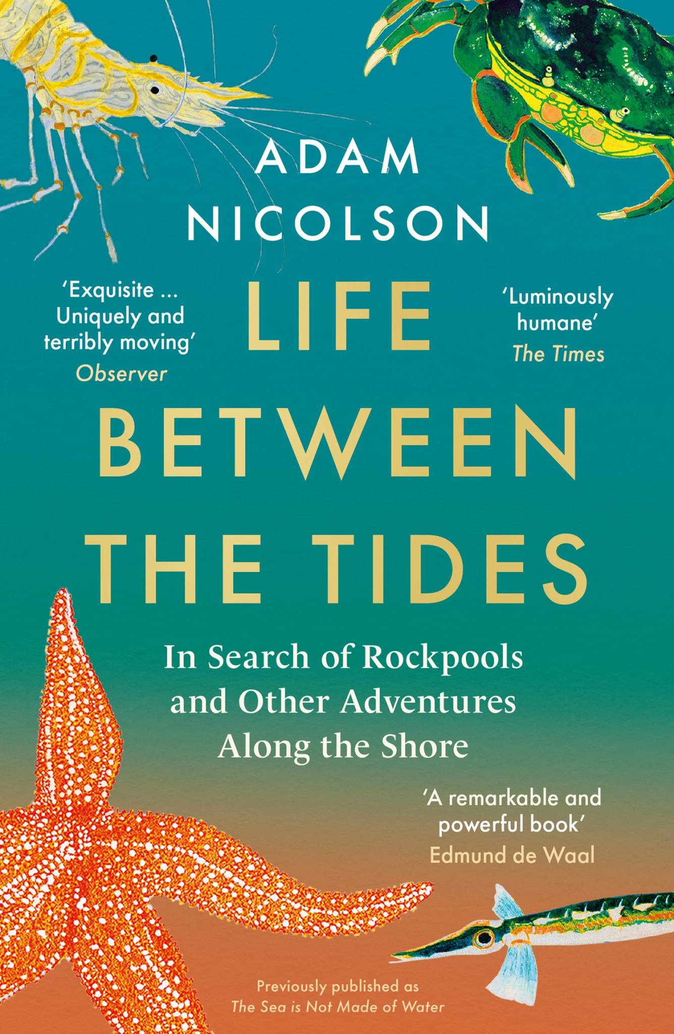 Life Between the Tides Cover Image