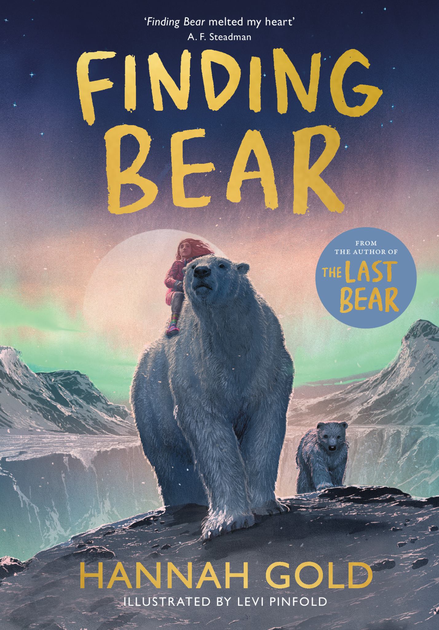 Finding Bear Cover Image