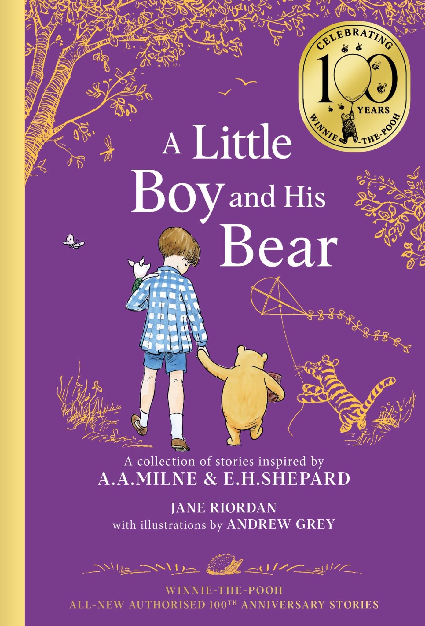 A Little Boy and His Bear Cover Image