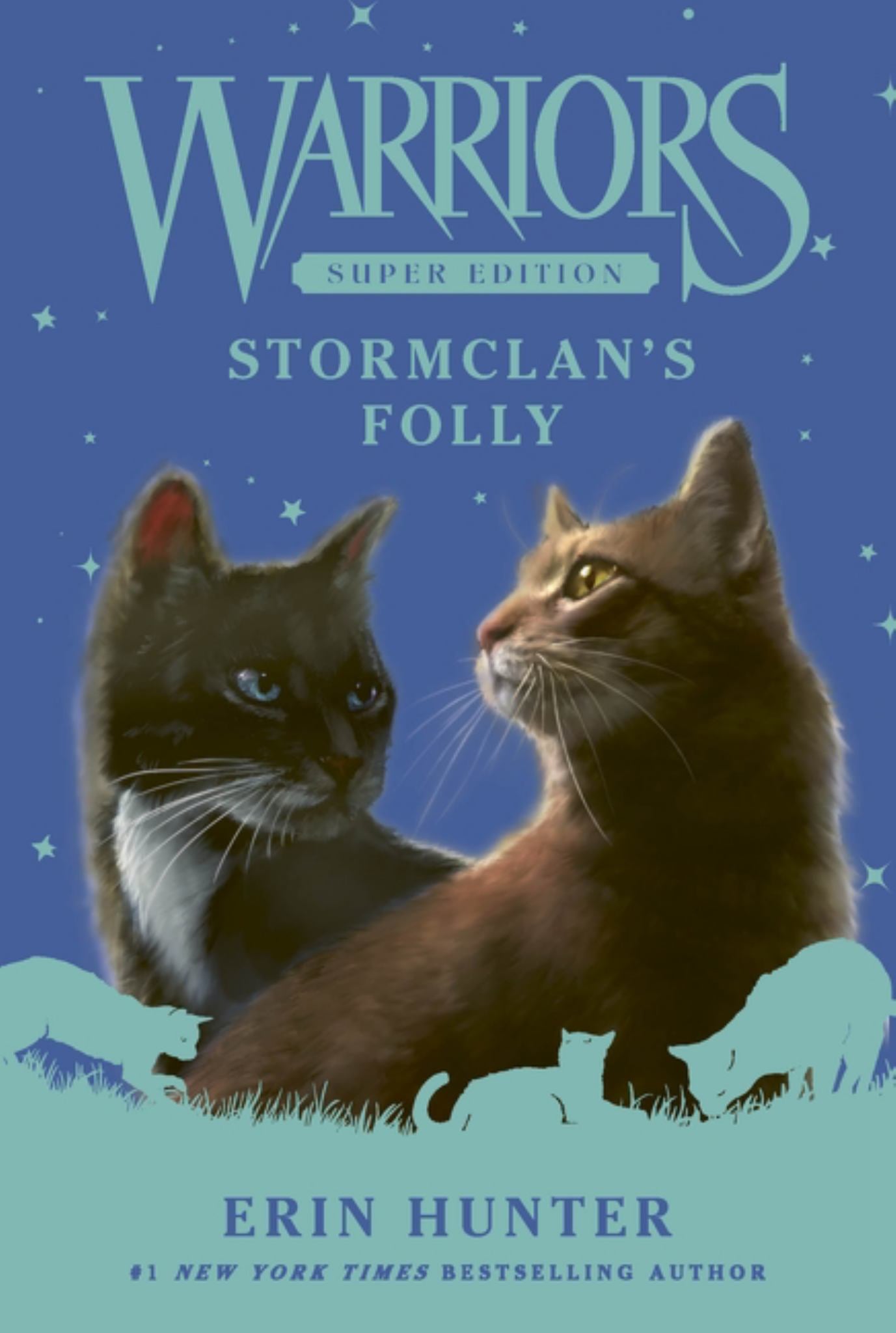 StormClan's Folly Cover Image