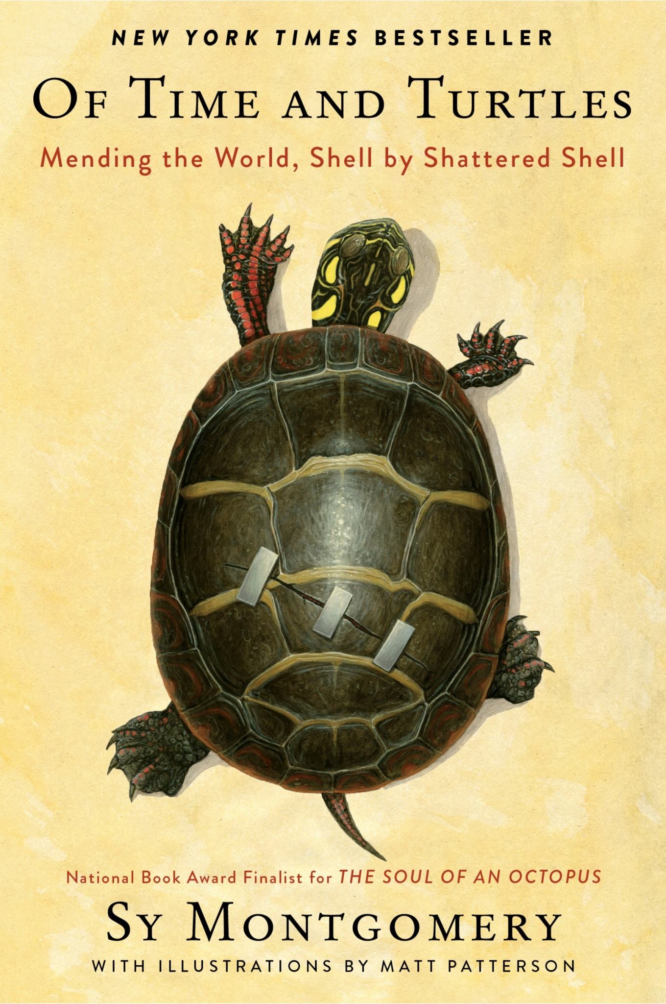 Of Time and Turtles Cover Image