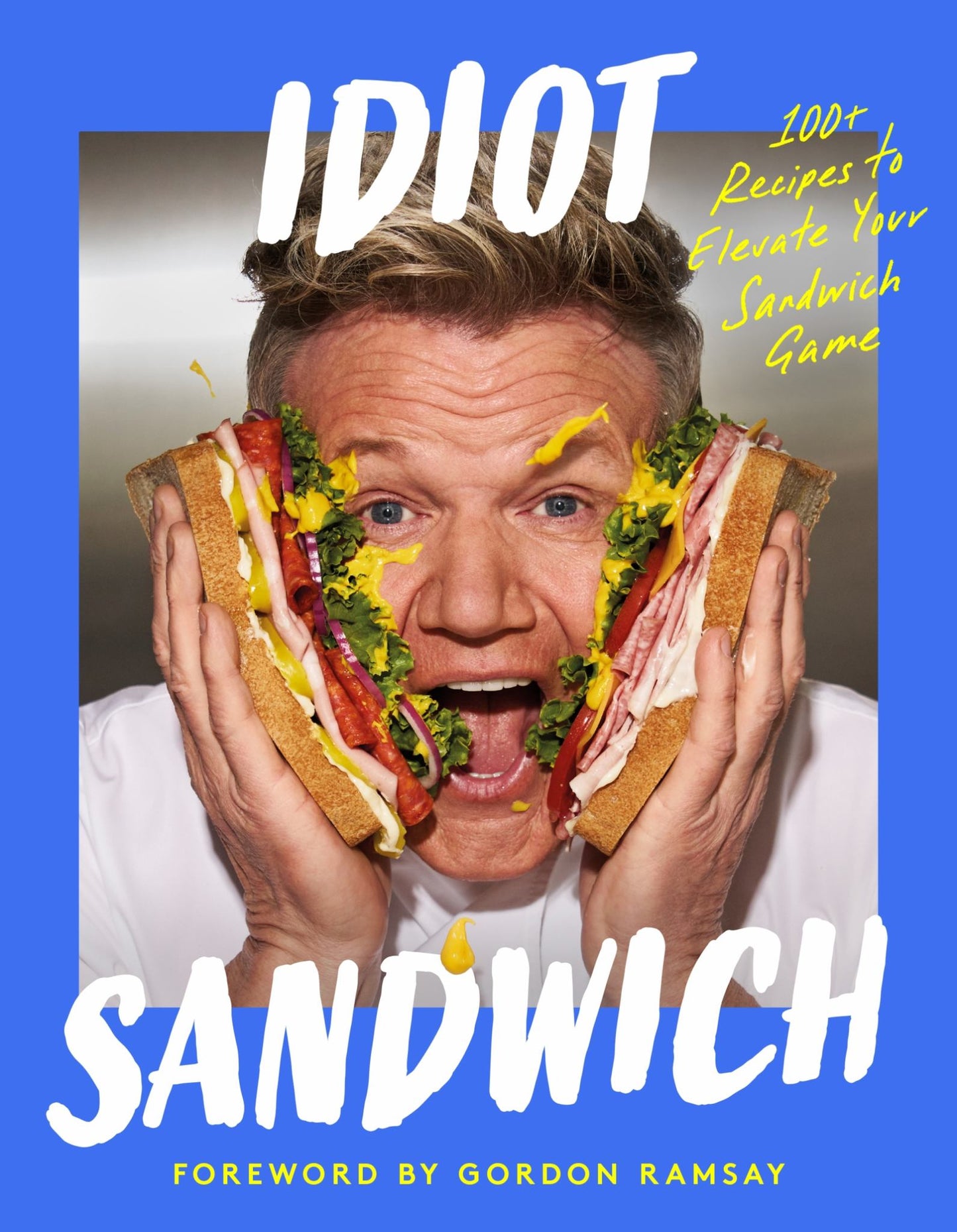 Idiot Sandwich Cover Image
