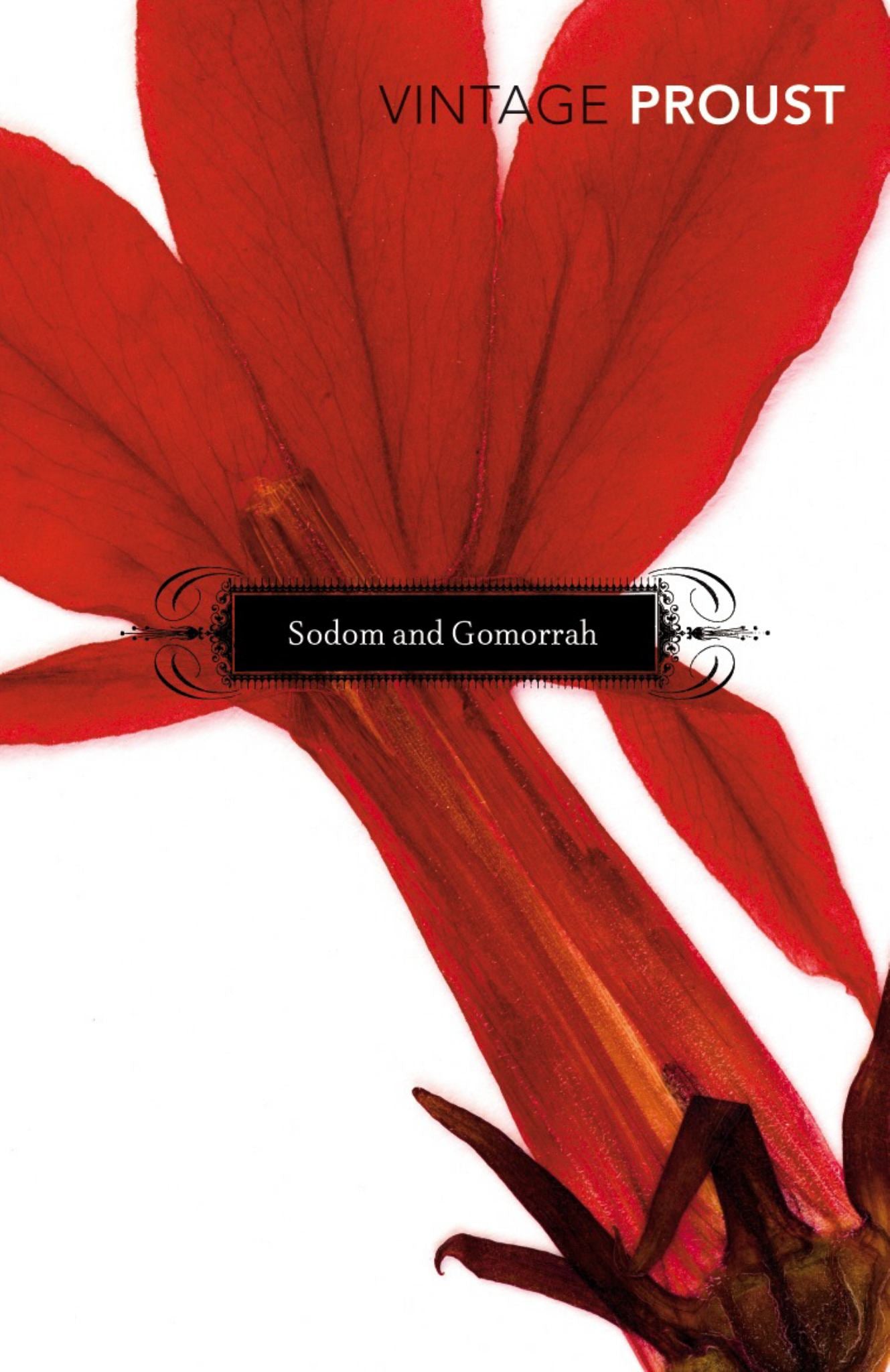 In Search of Lost Time, Volume IV: Sodom and Gomorrah Cover Image
