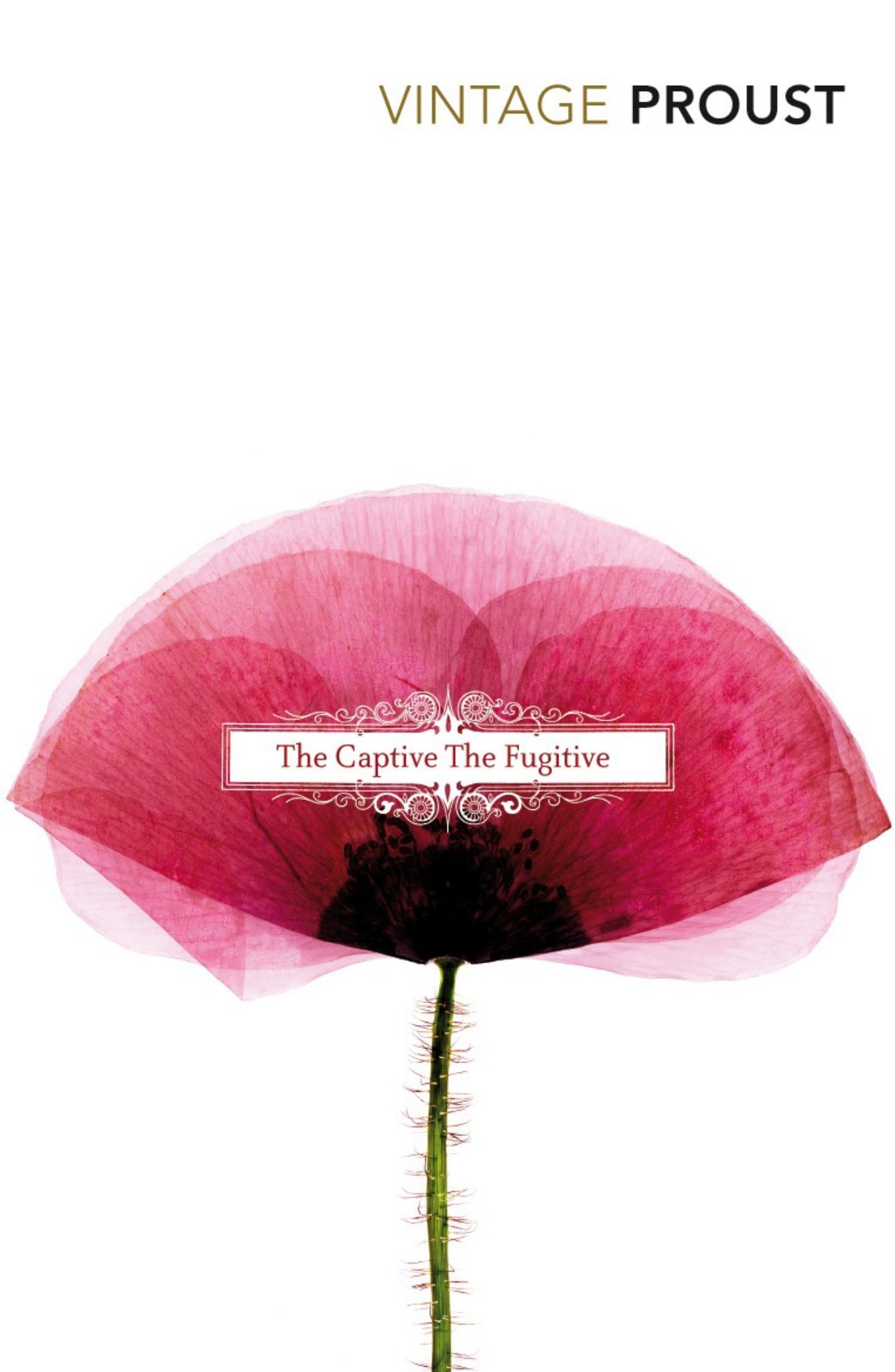 In Search of Lost Time, Volume V:the Captive and the Fugitive Cover Image