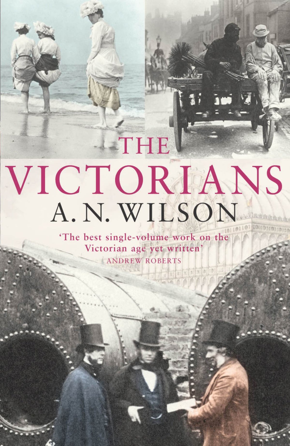 The Victorians Cover Image