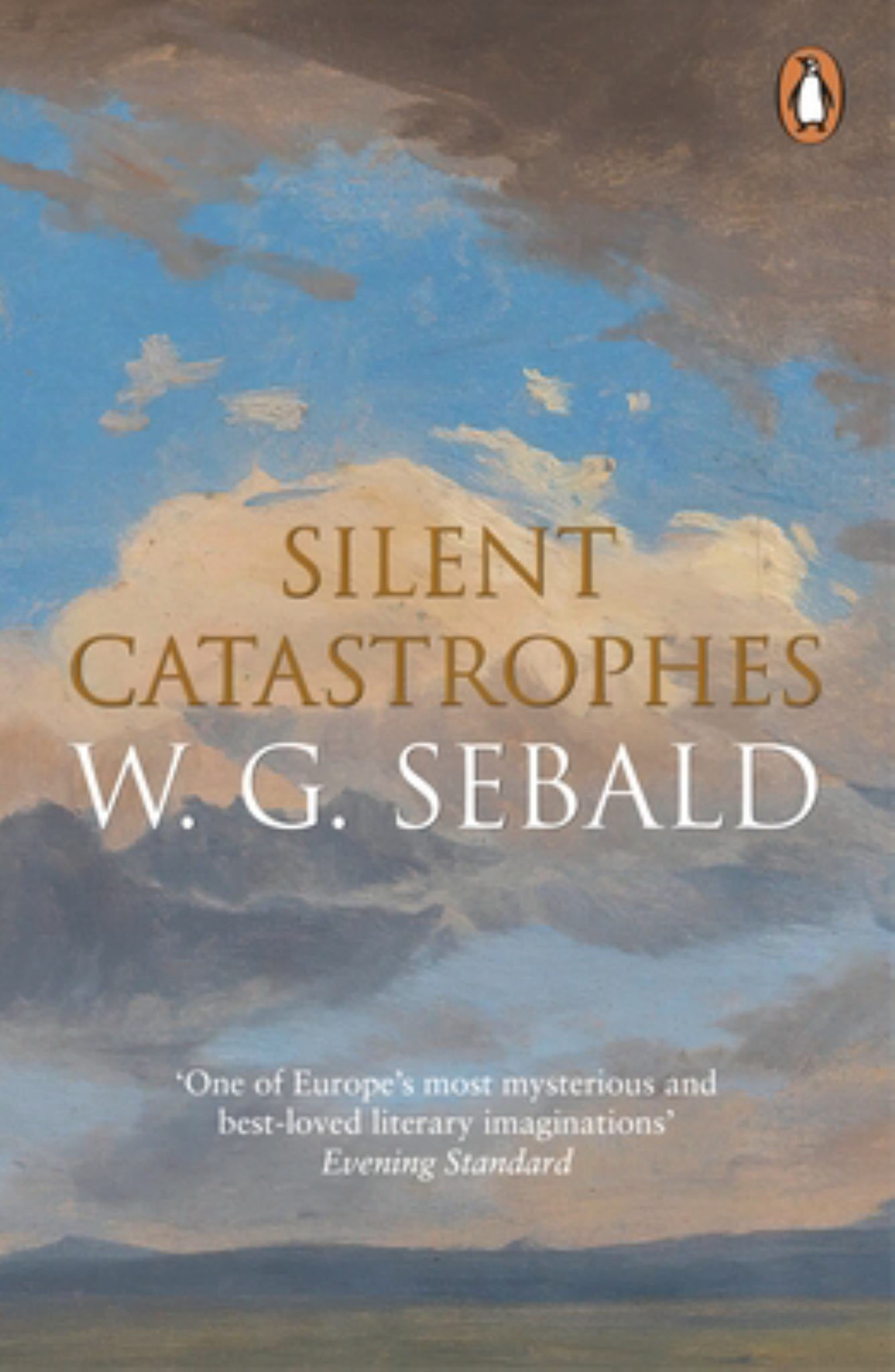Silent Catastrophes Cover Image