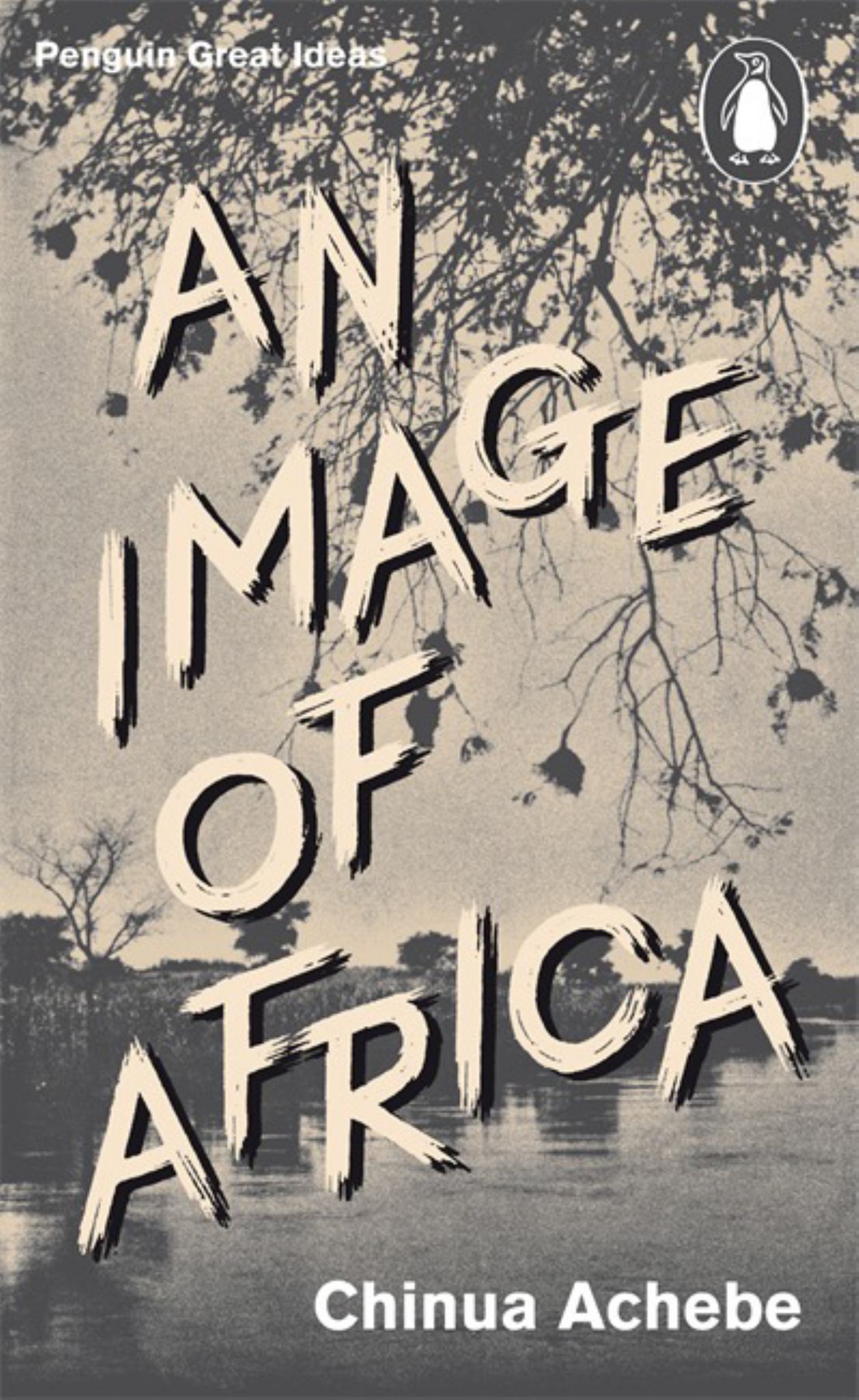 Great Ideas V an Image of Africa Cover Image