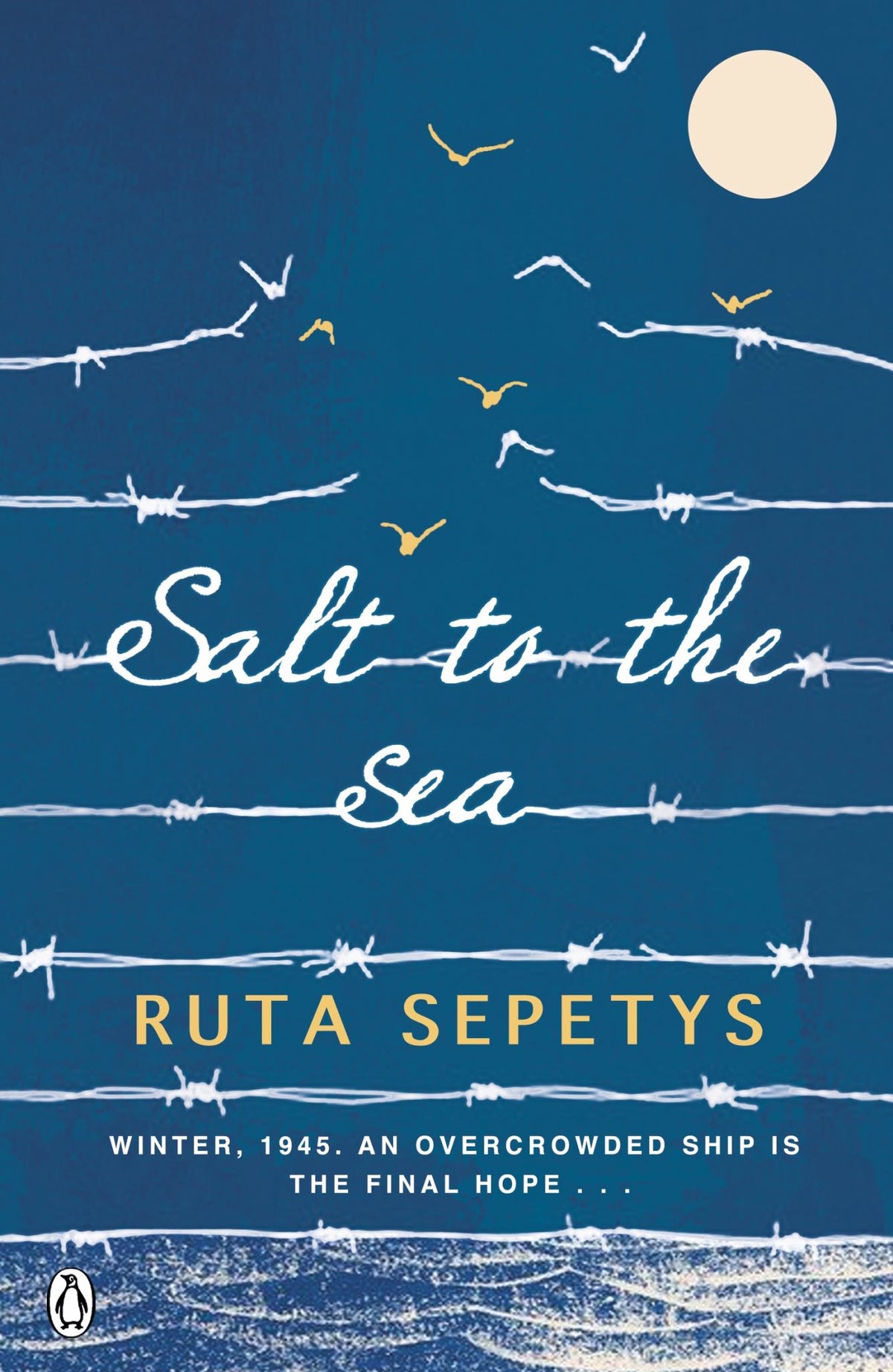 Salt to the Sea Cover Image