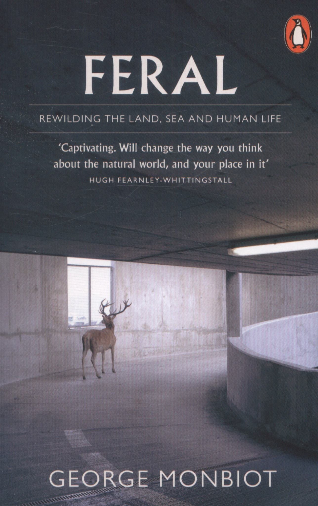Feral Cover Image