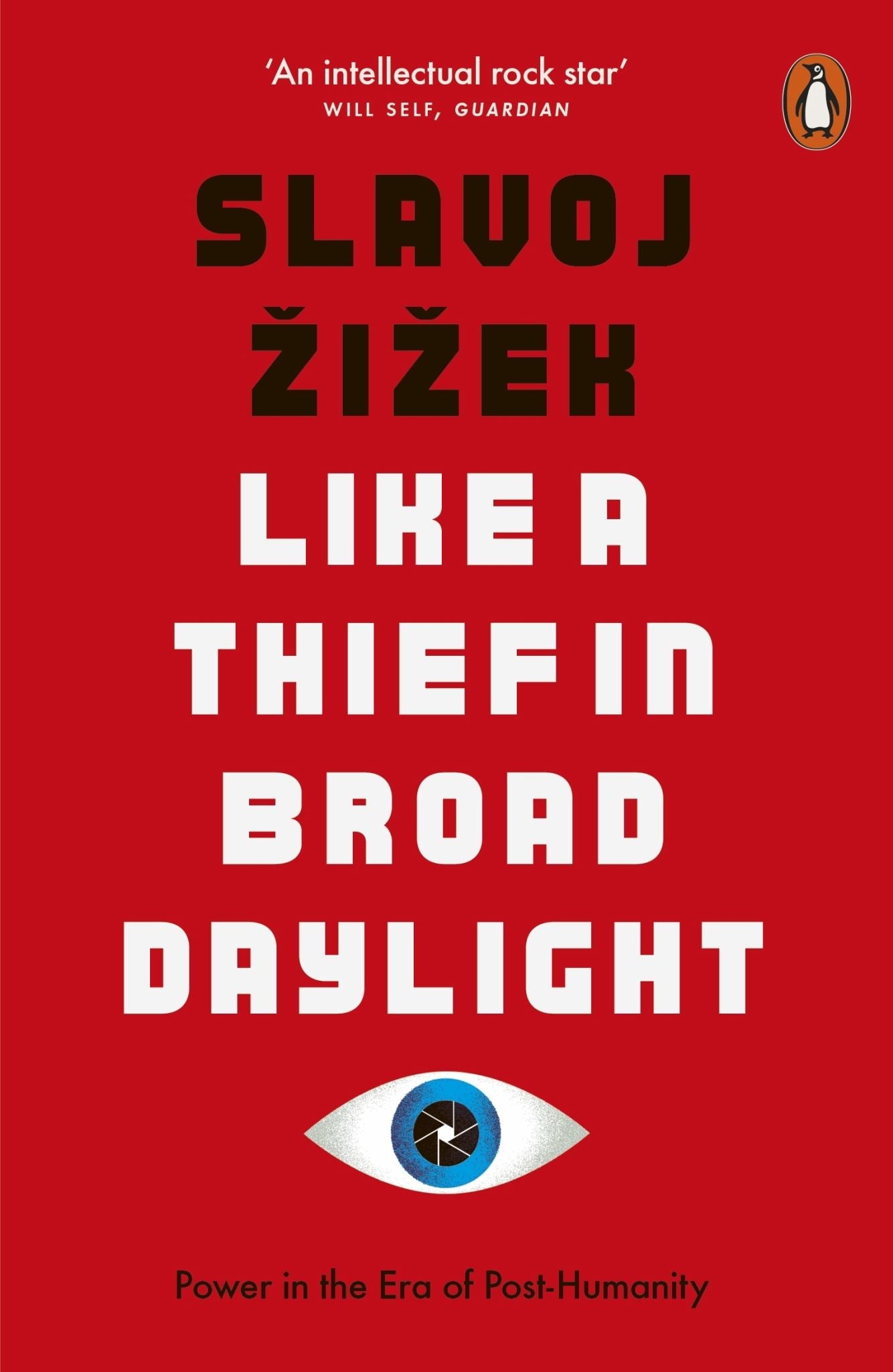Like a Thief in Broad Daylight Cover Image