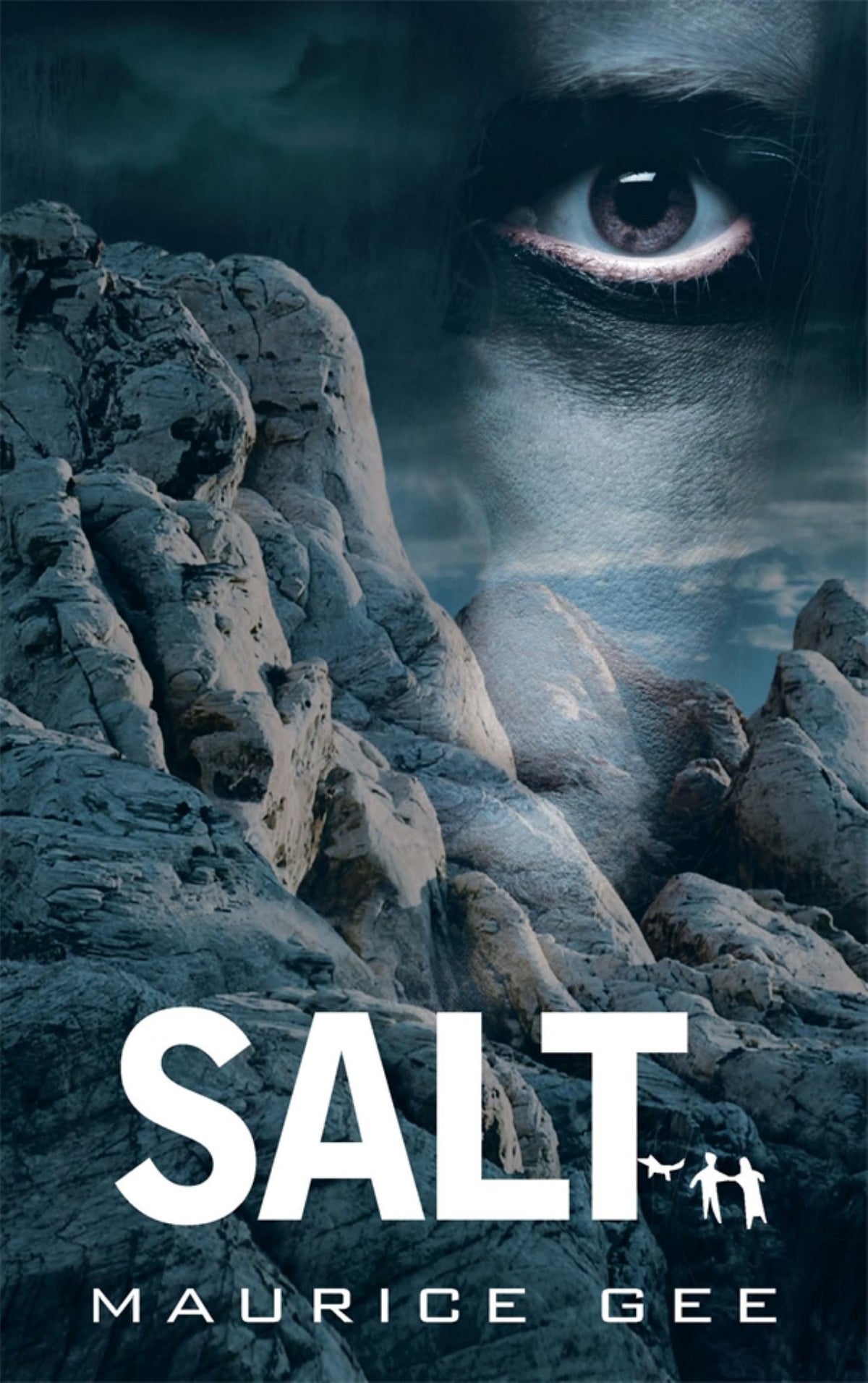 Salt Cover Image