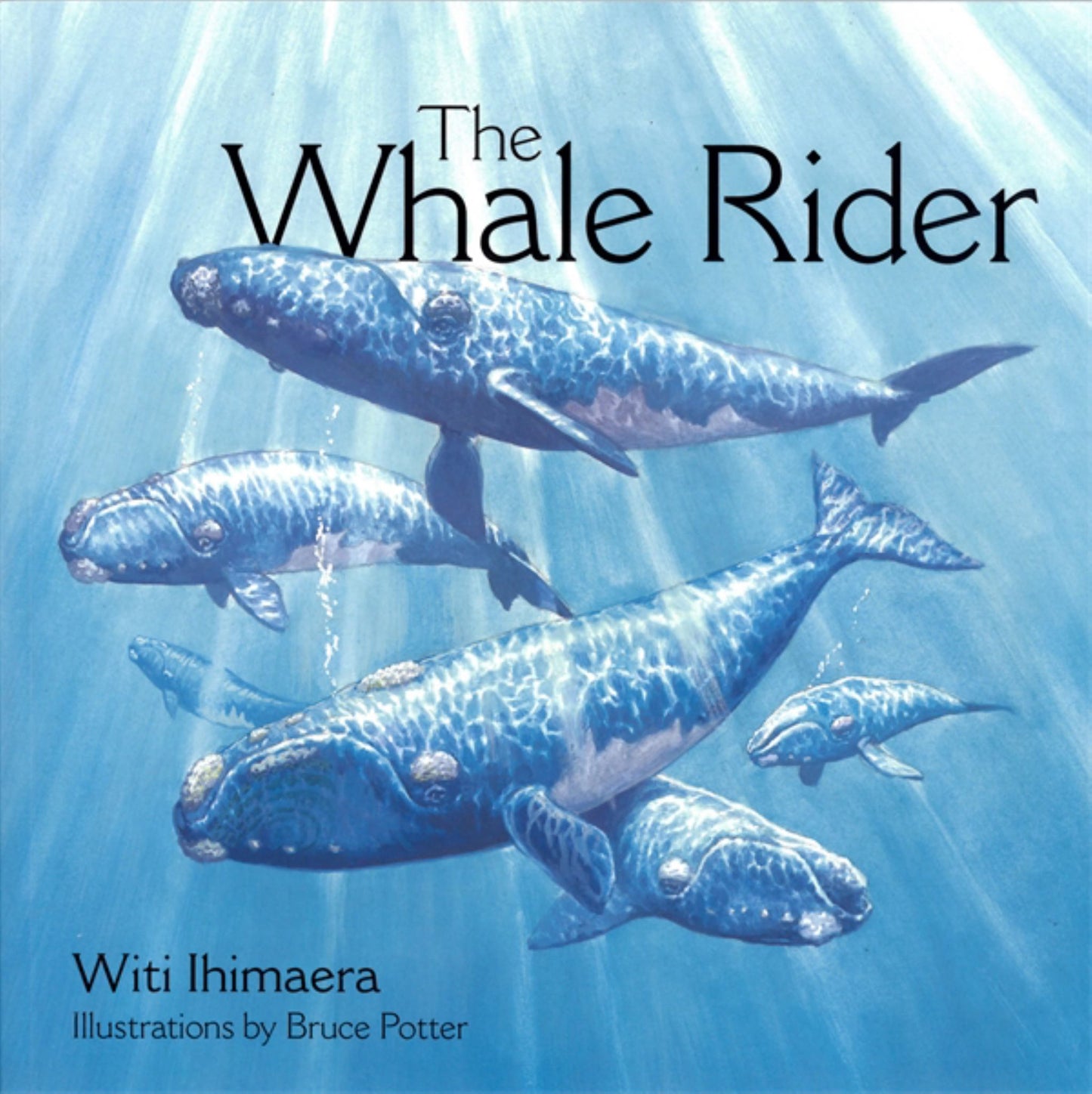 The Whale Rider Cover Image