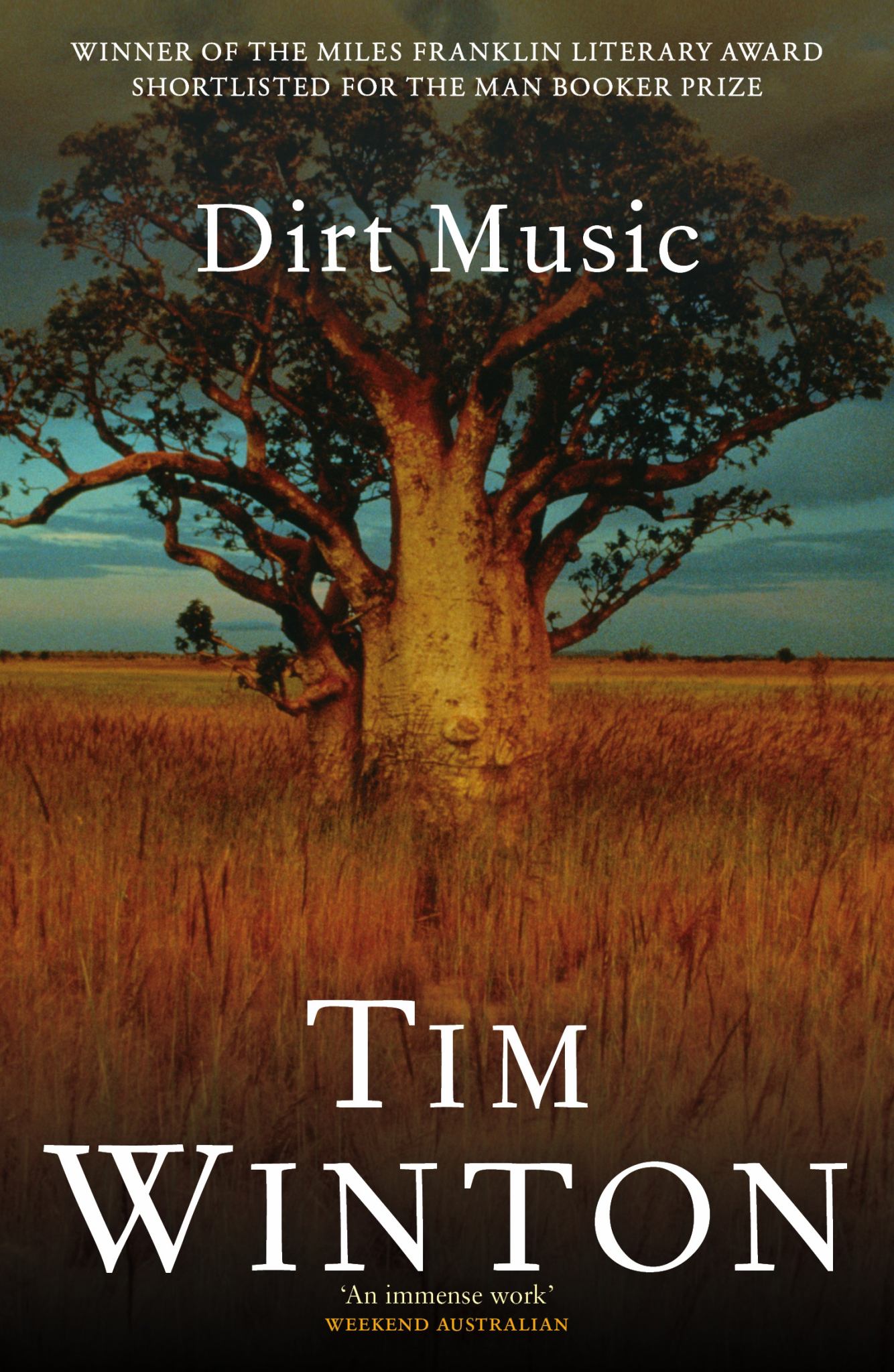 Dirt Music Cover Image
