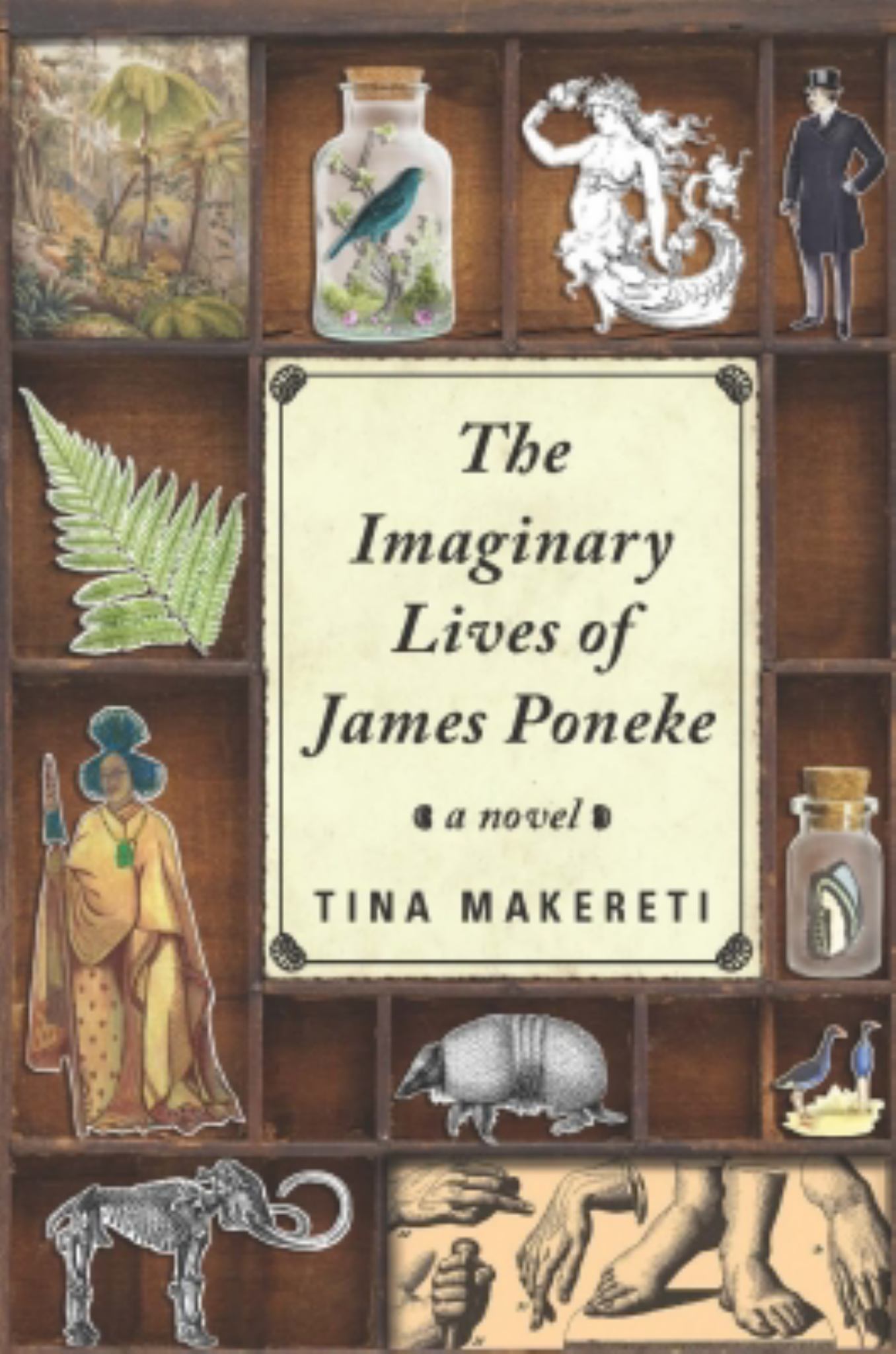 The Imaginary Lives of James Poneke Cover Image
