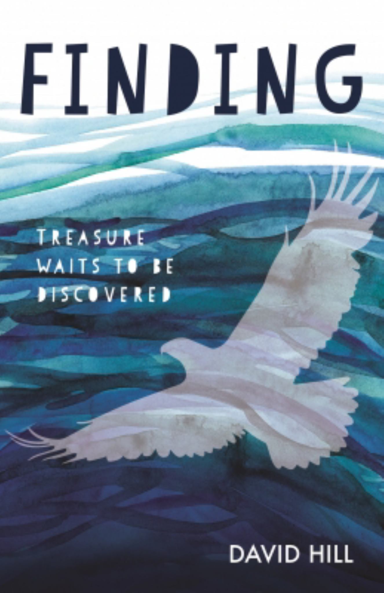 Finding Cover Image