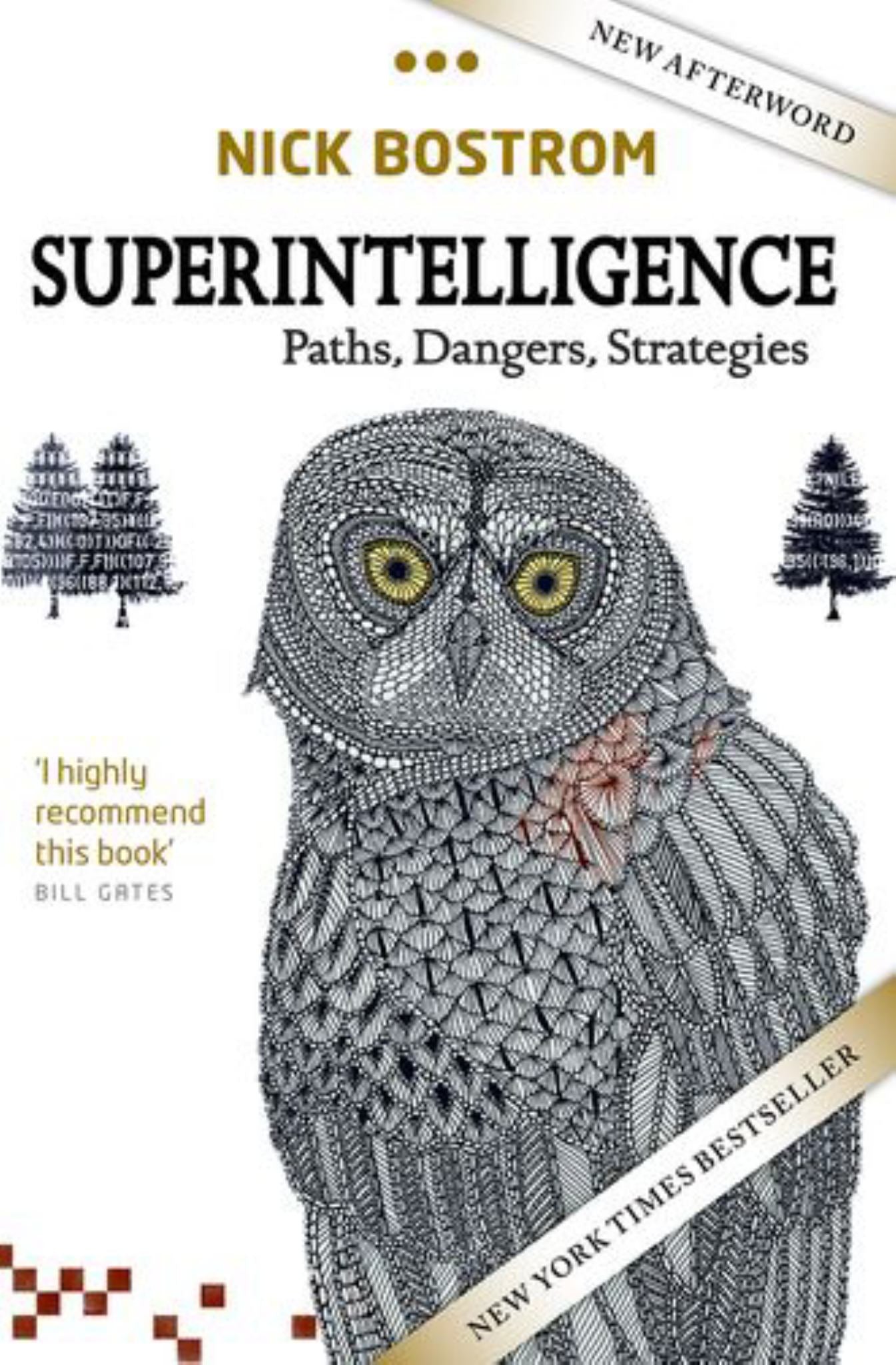 Superintelligence Cover Image
