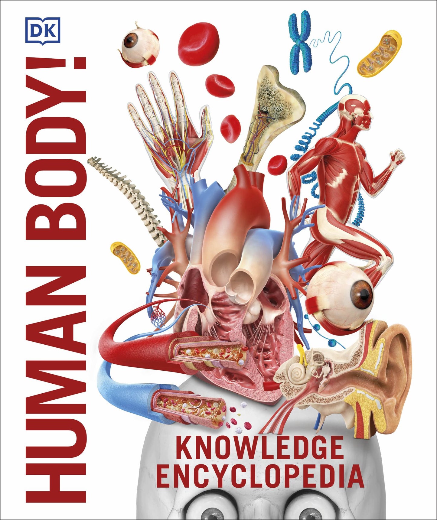 Human Body! Cover Image