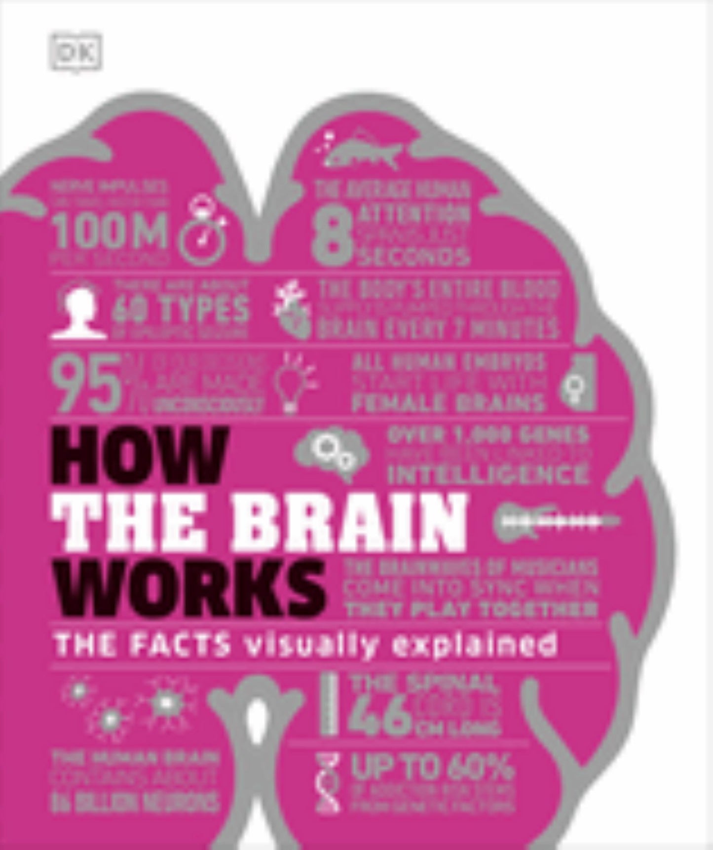 How the Brain Works Cover Image