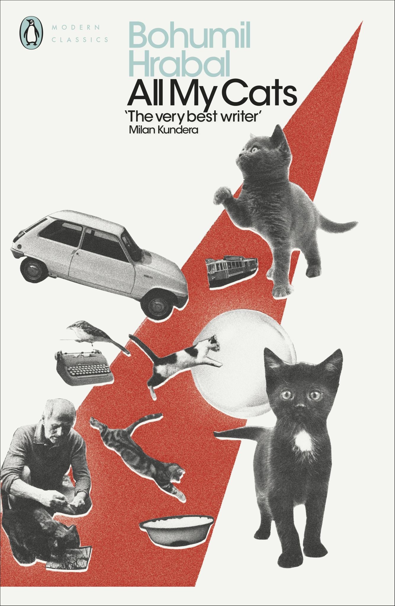 All My Cats Cover Image