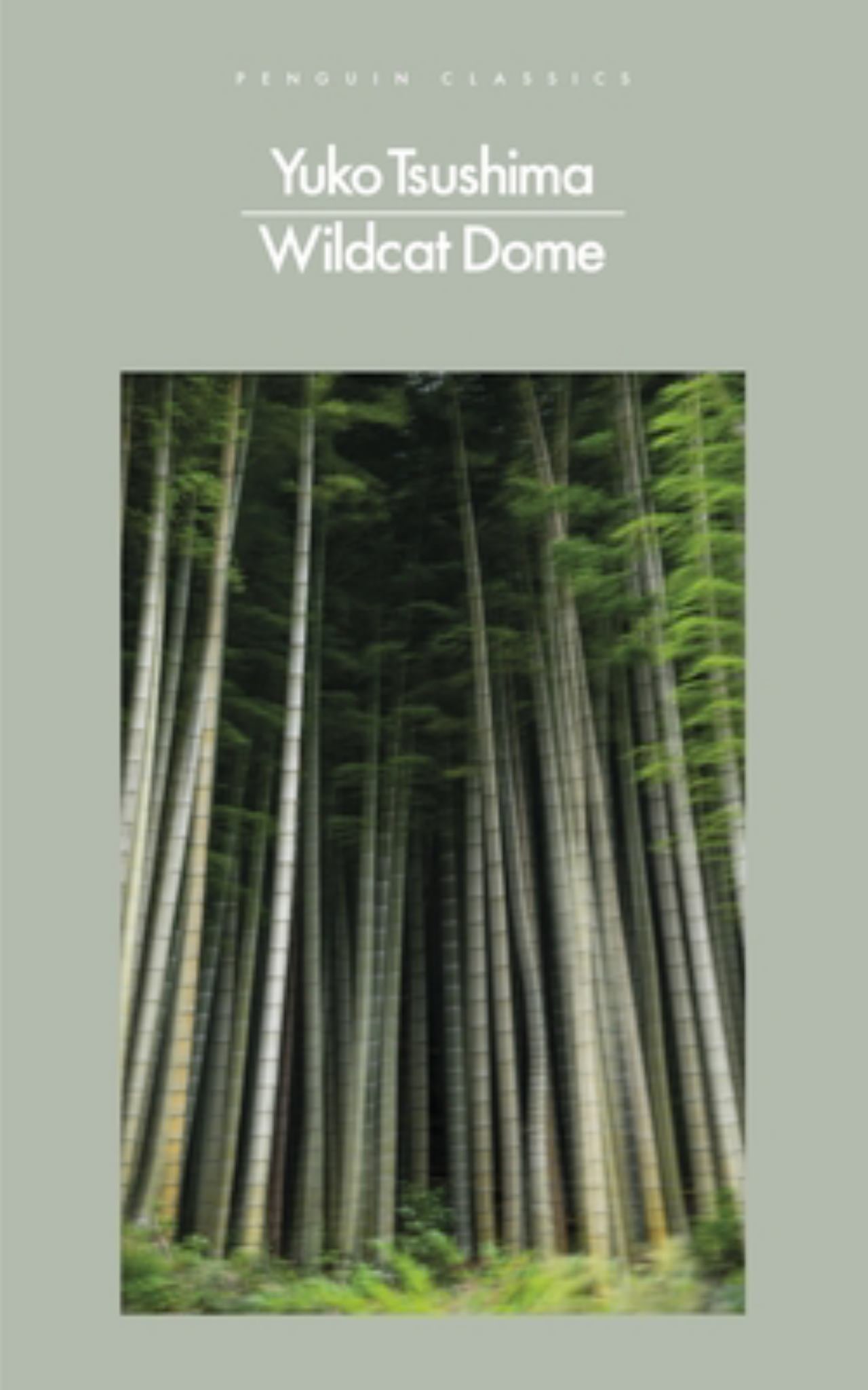 Wildcat Dome Cover Image