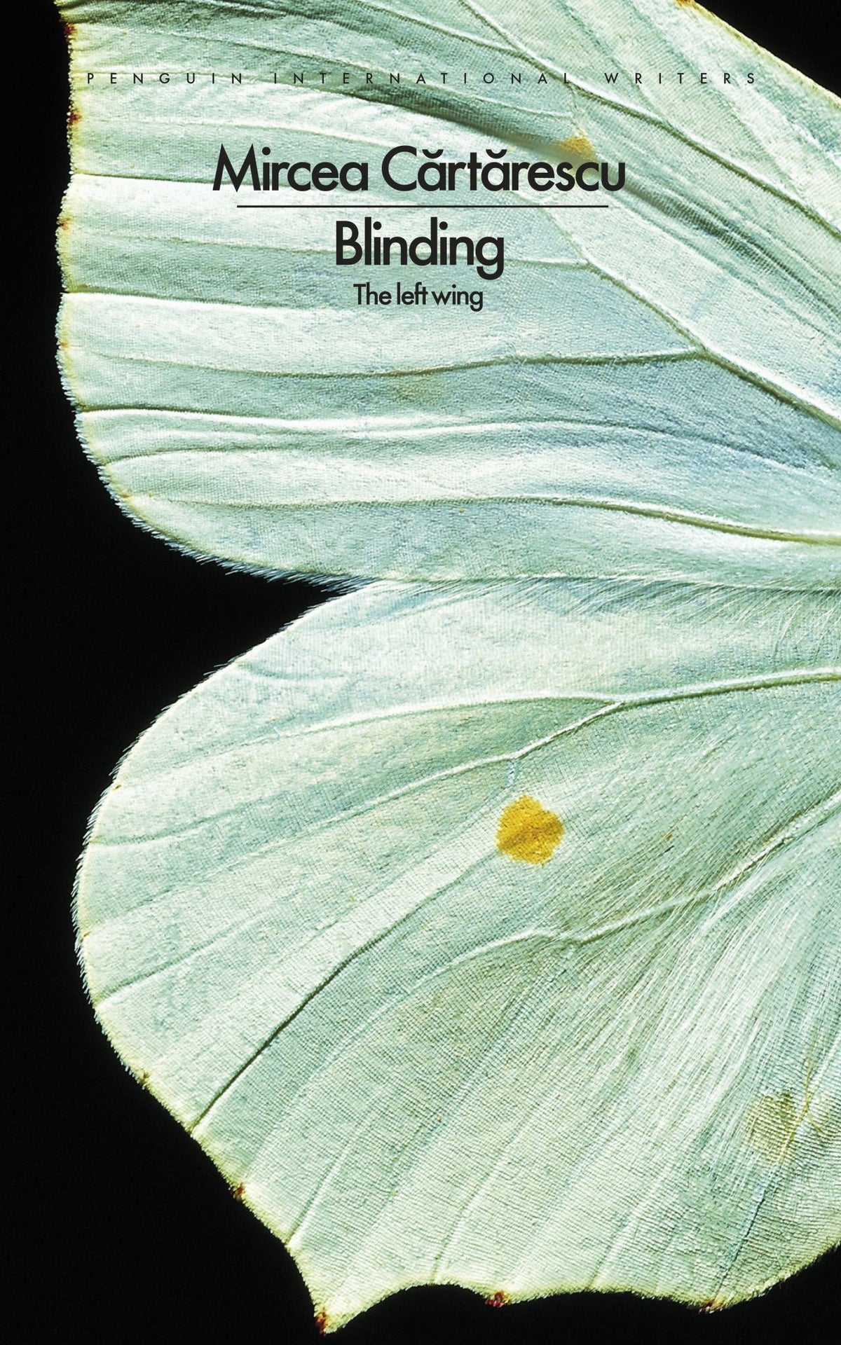 Blinding: the Left Wing Cover Image