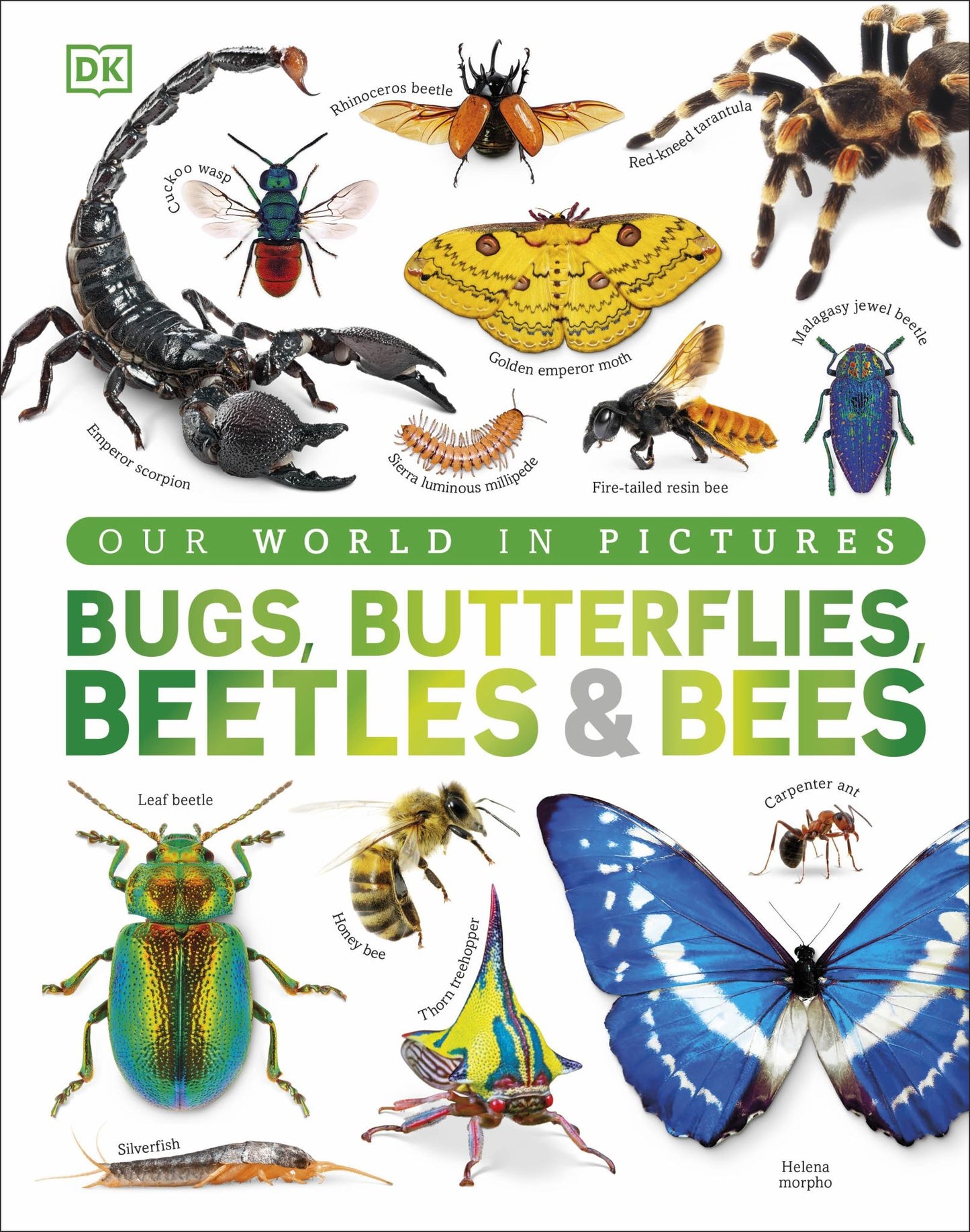 Bugs, Butterflies, Beetles and Bees Cover Image