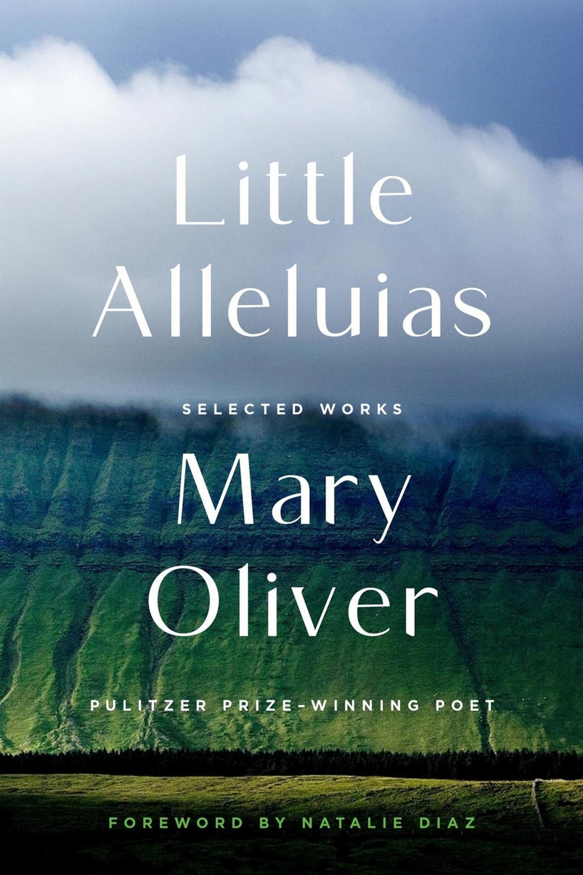 Little Alleluias Cover Image