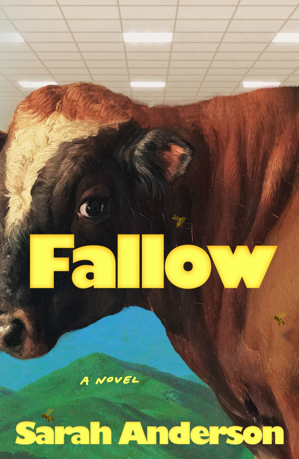 Fallow Cover Image