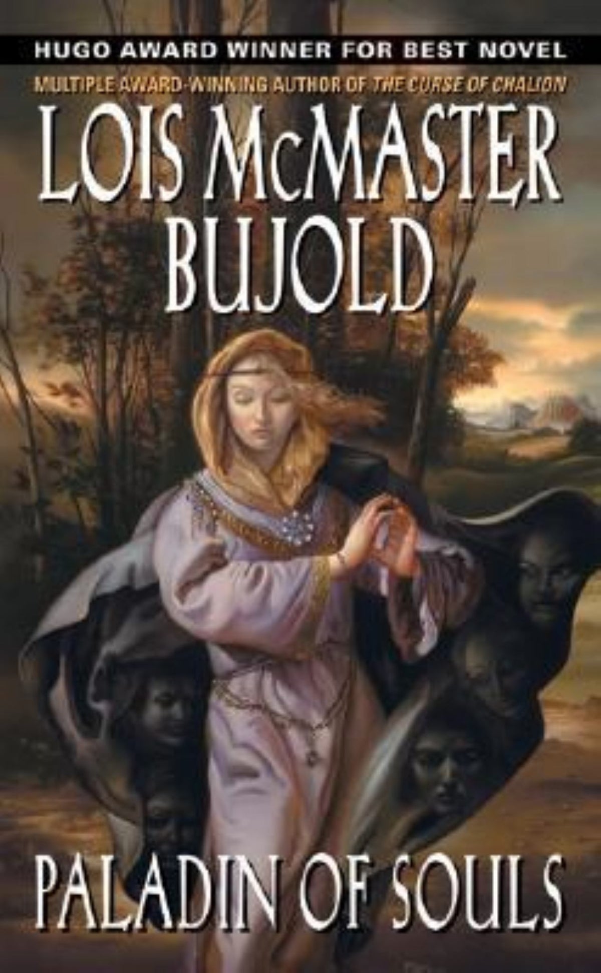 Paladin of Souls Cover Image