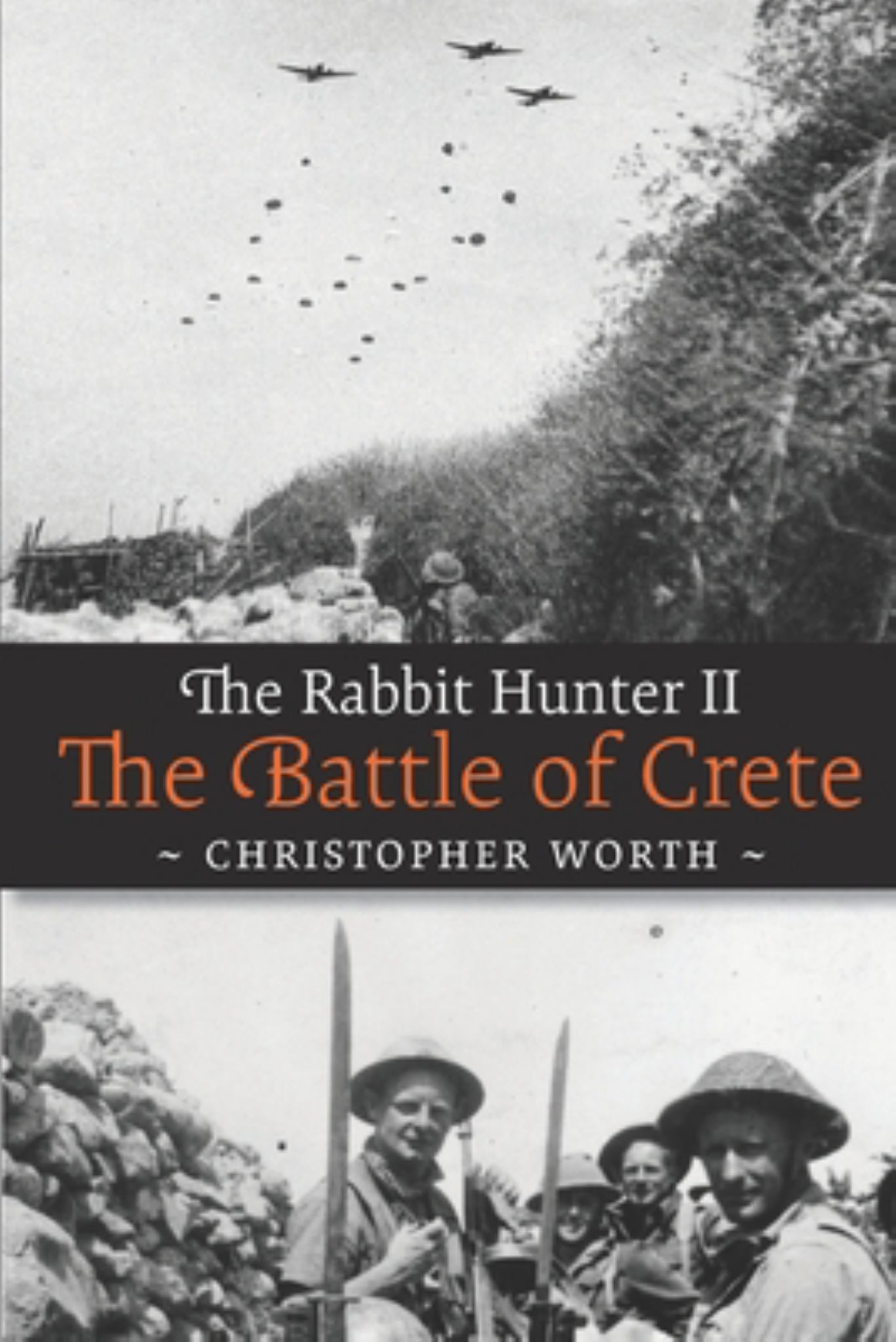 The Rabbit Hunter II Cover Image