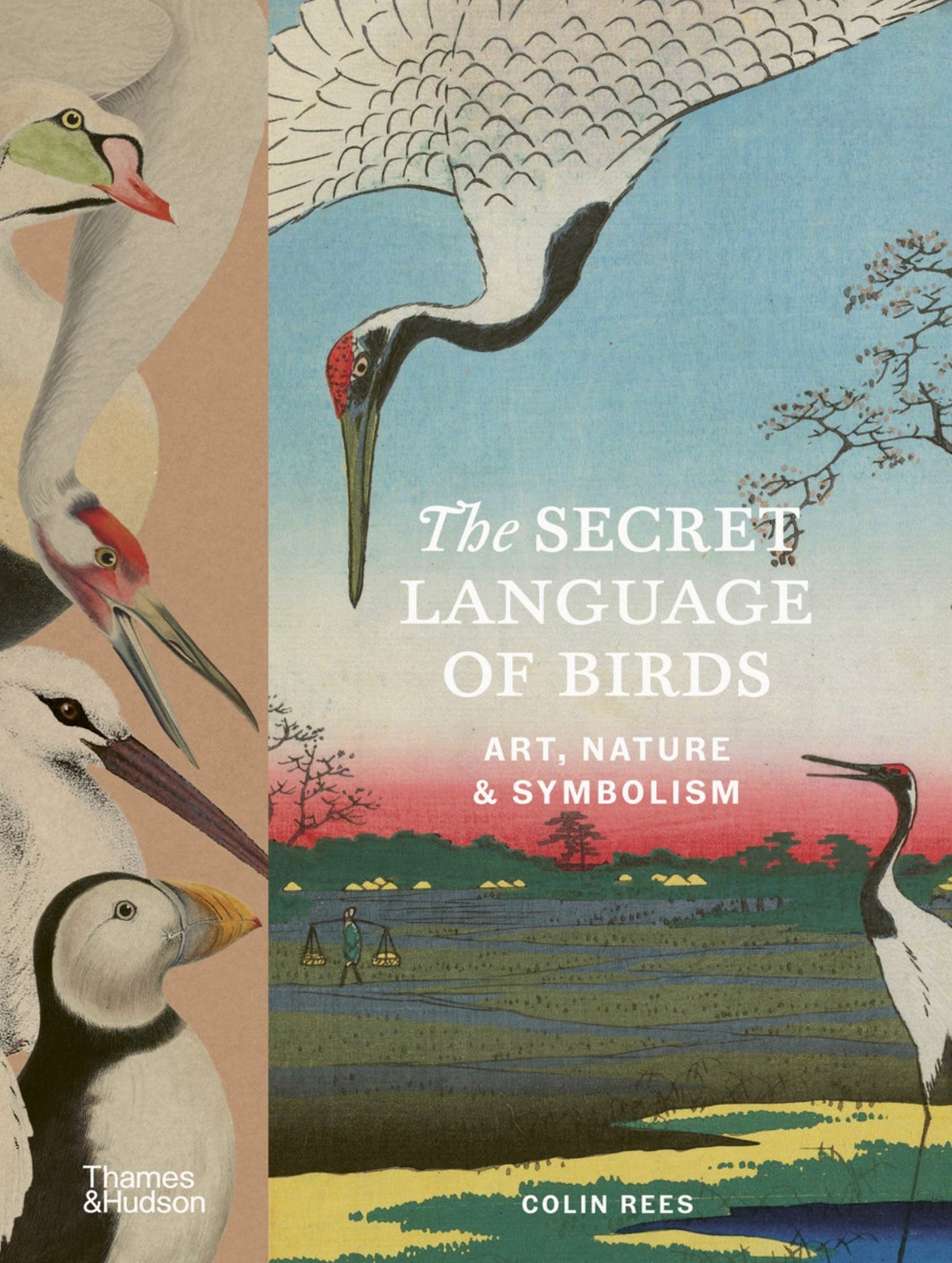 The Secret Language of Birds Cover Image