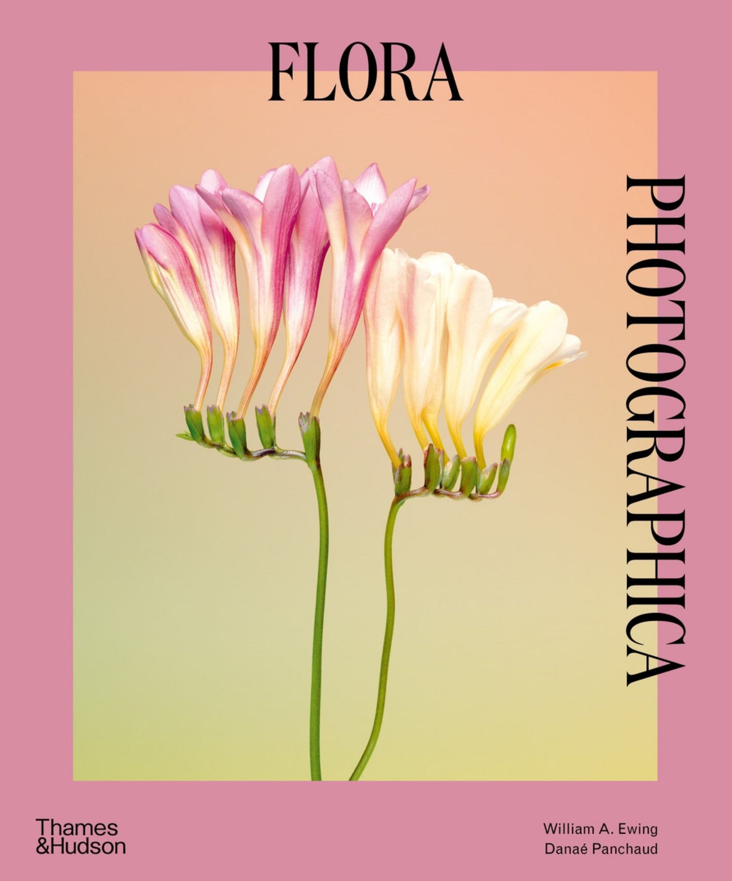 Flora Photographica Cover Image