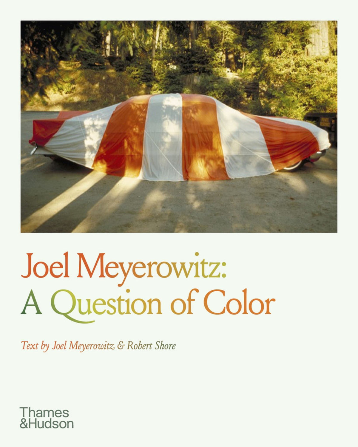 Joel Meyerowitz Cover Image