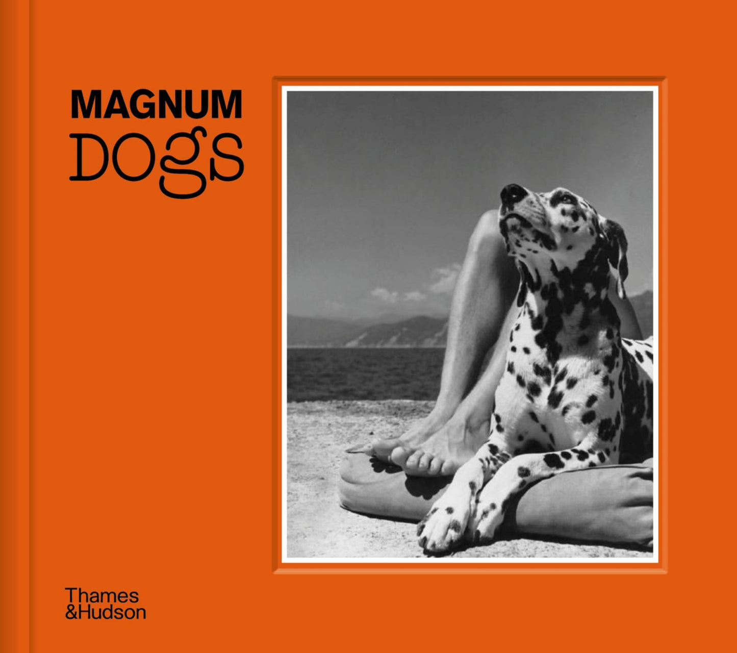 Magnum Dogs Cover Image