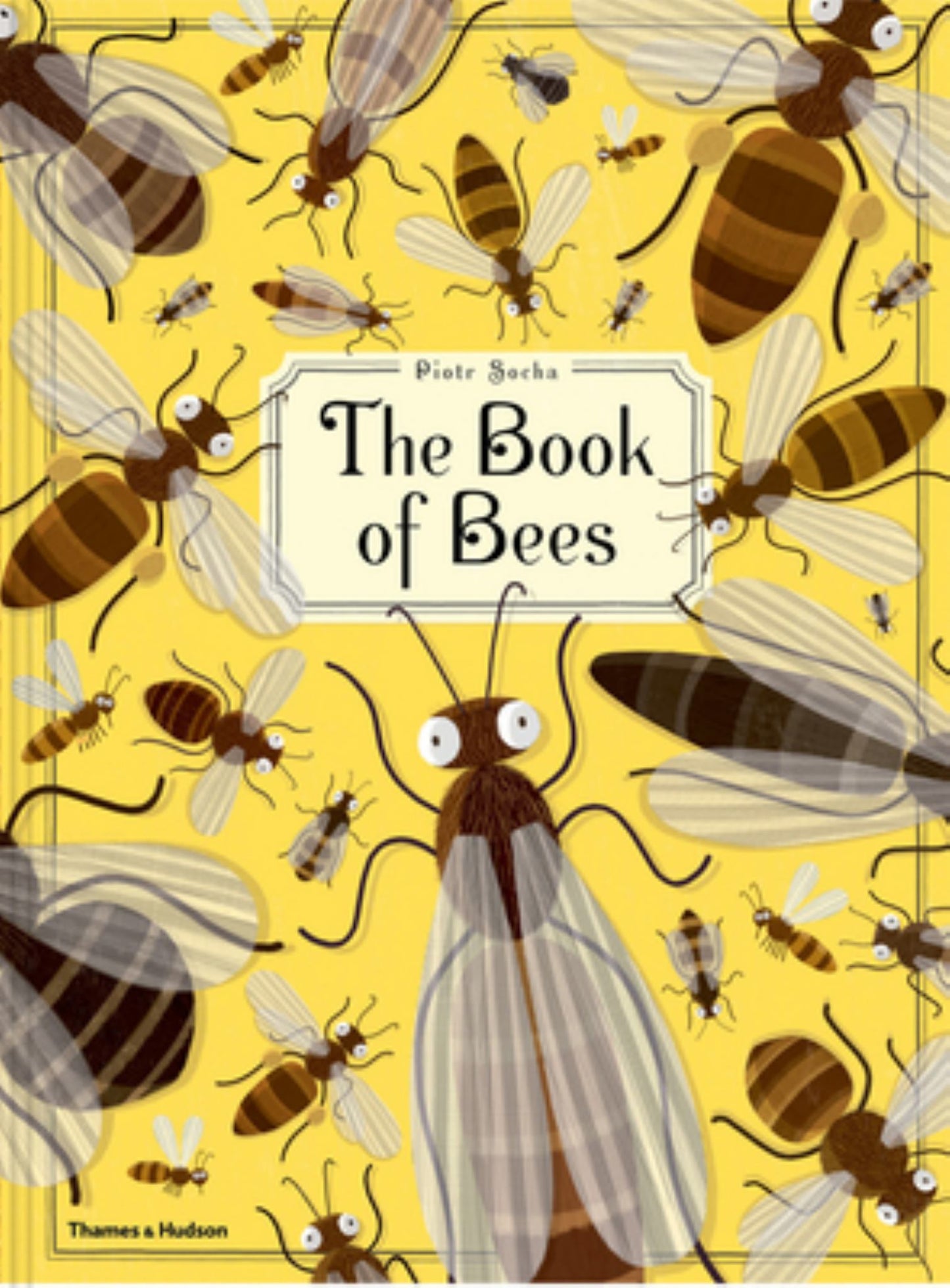 The Book of Bees Cover Image