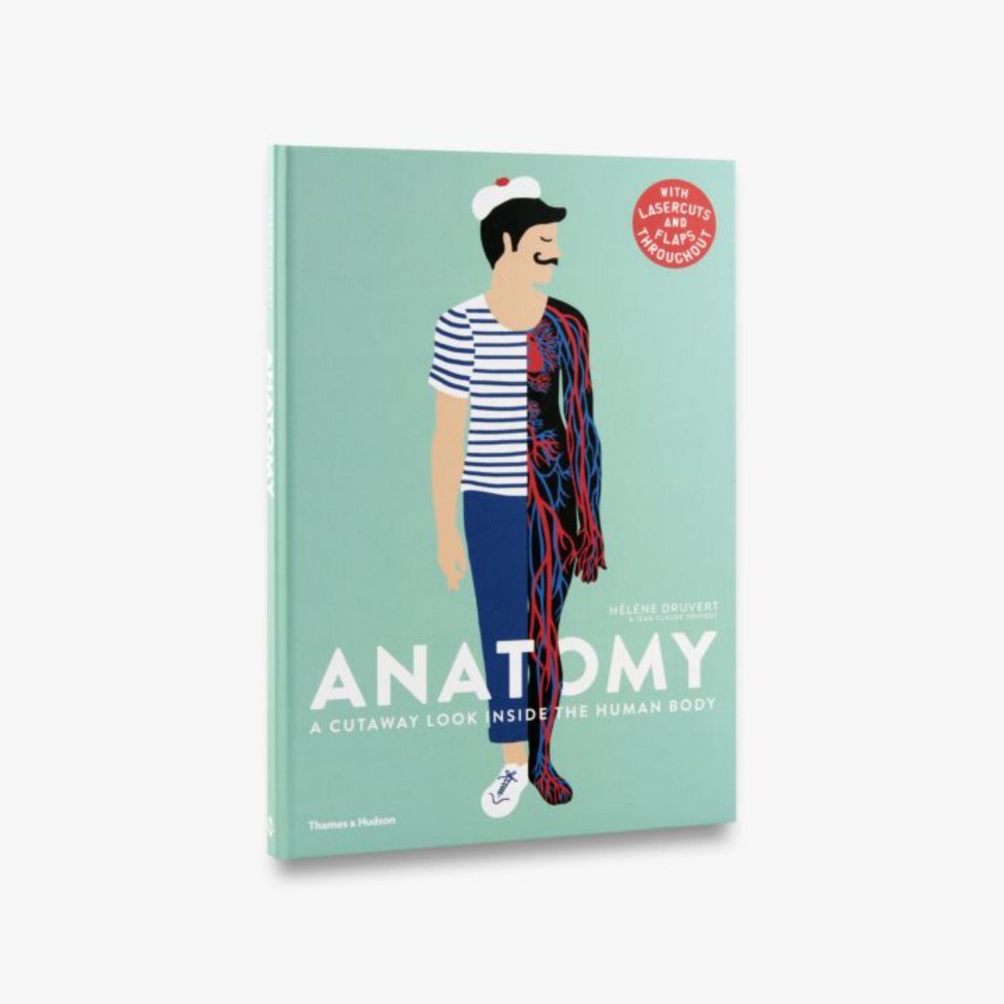 Anatomy Cover Image