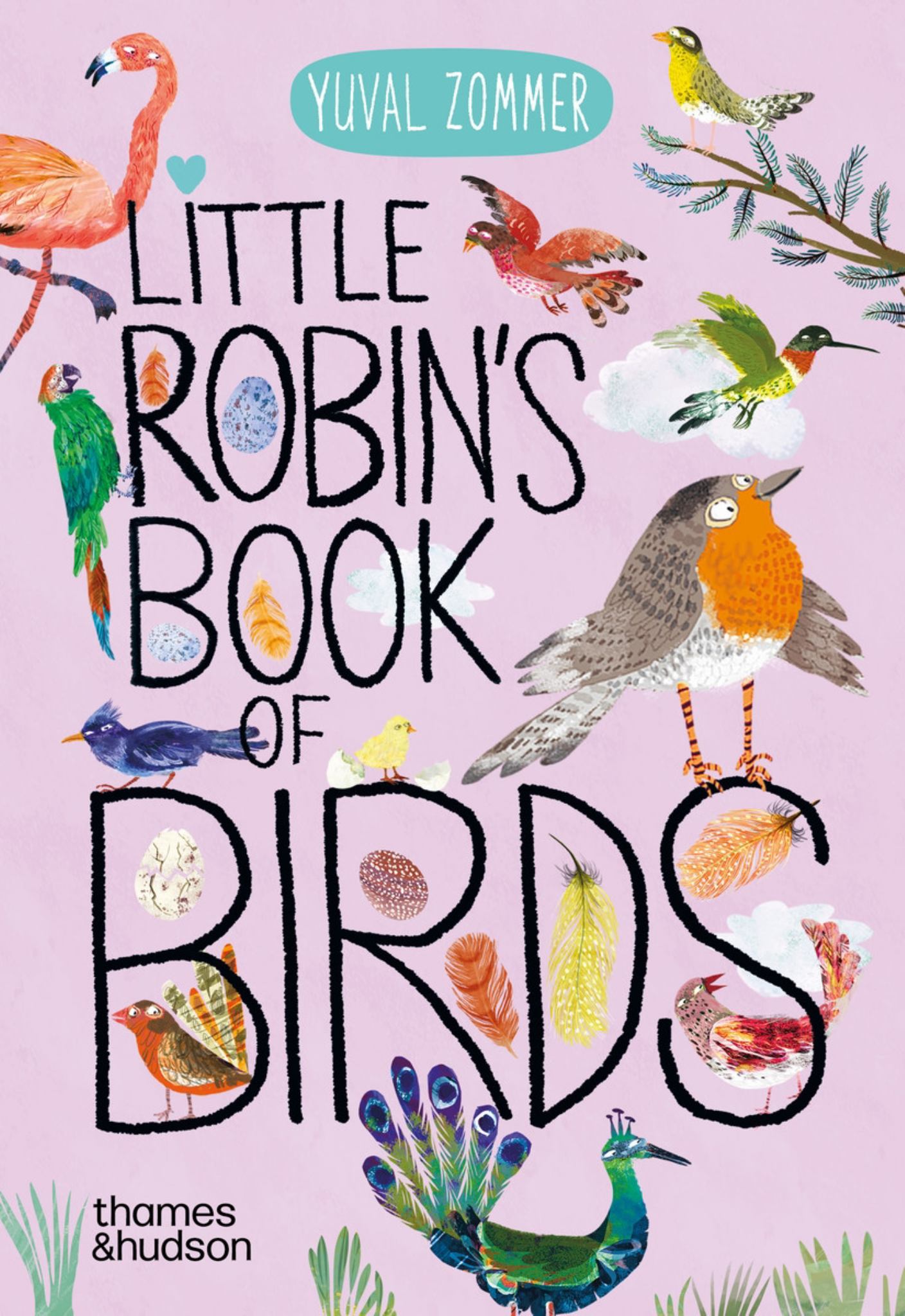 Little Robin's Book of Birds Cover Image