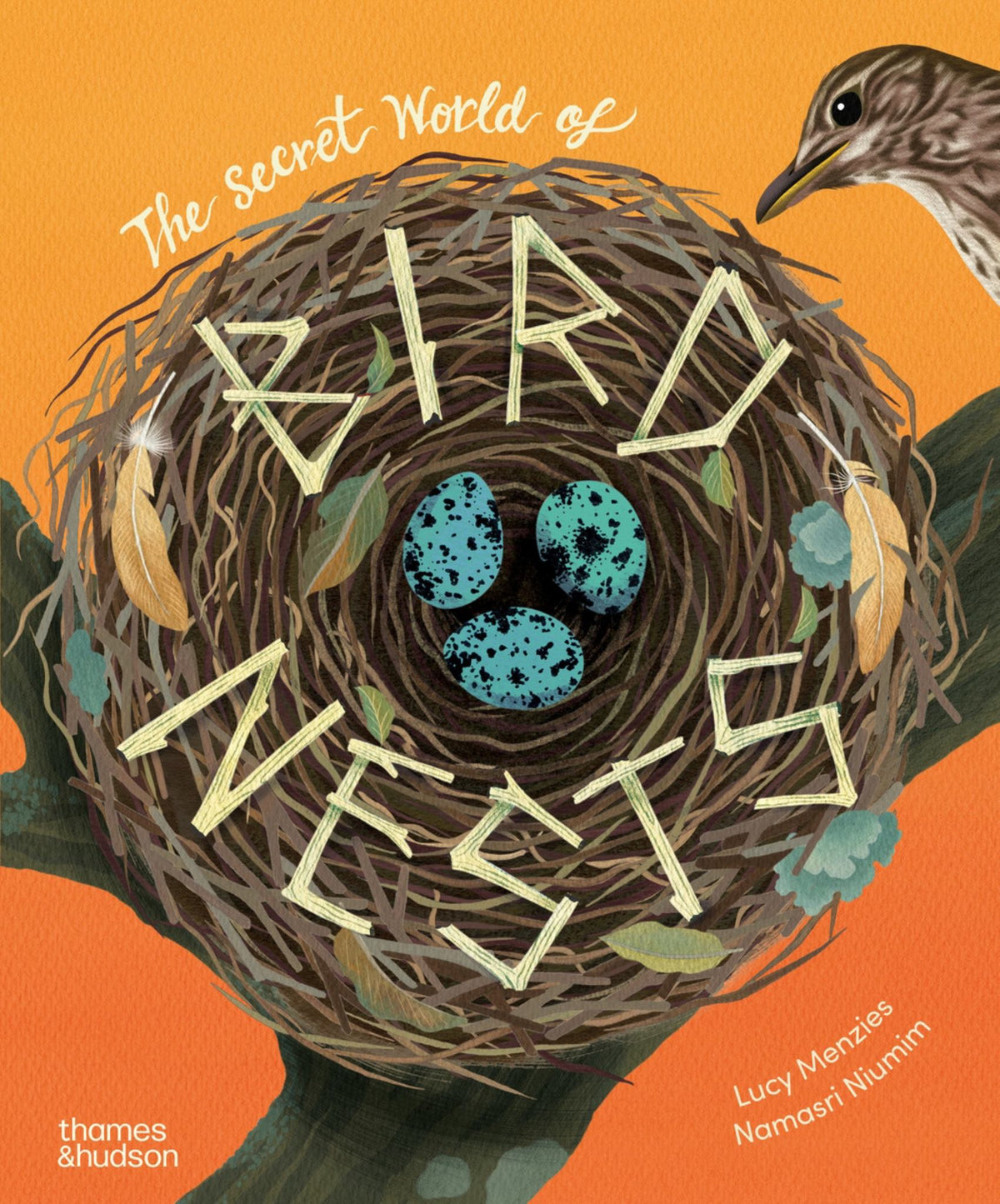The Secret World of Bird Nests Cover Image