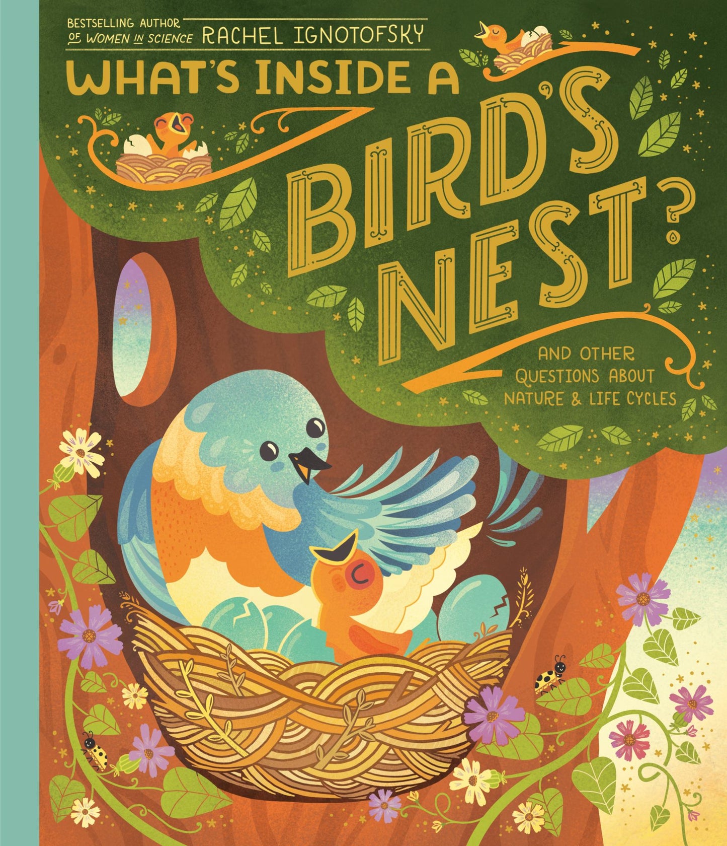 What's Inside a Bird's Nest? Cover Image
