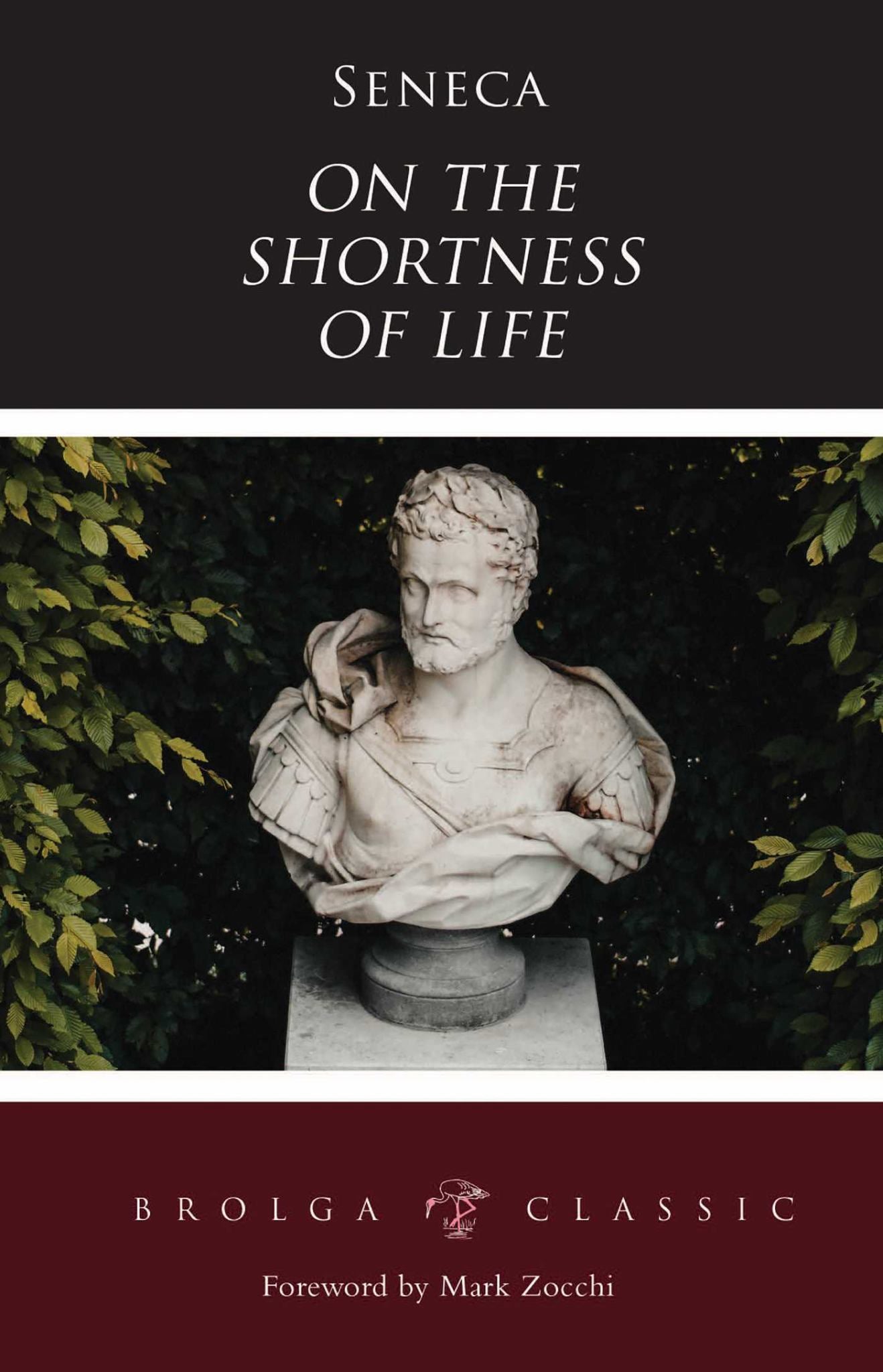 On the Shortness of Life Cover Image