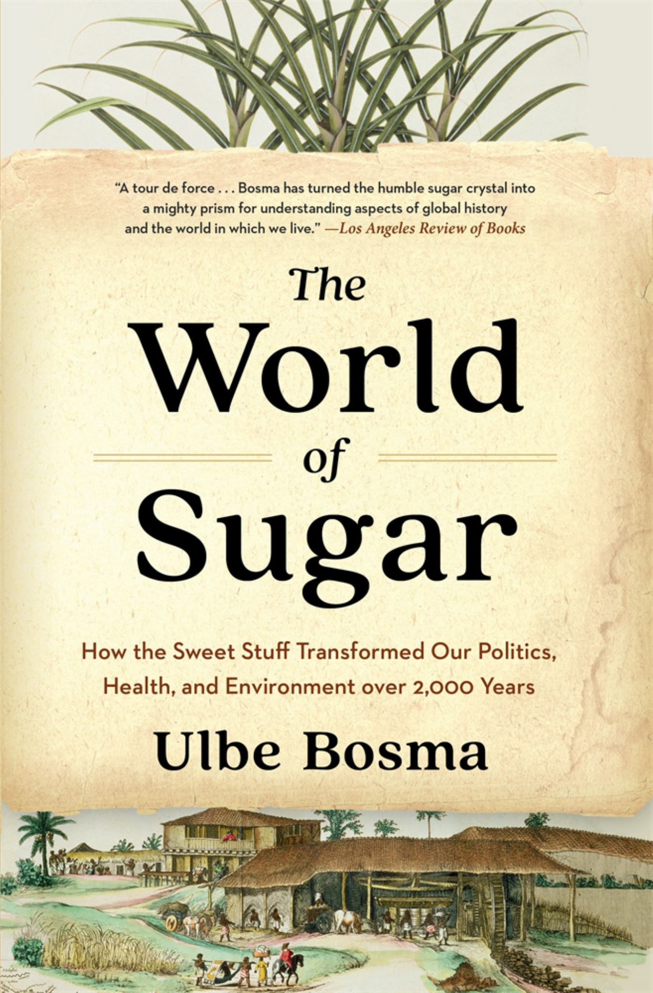 The World of Sugar Cover Image