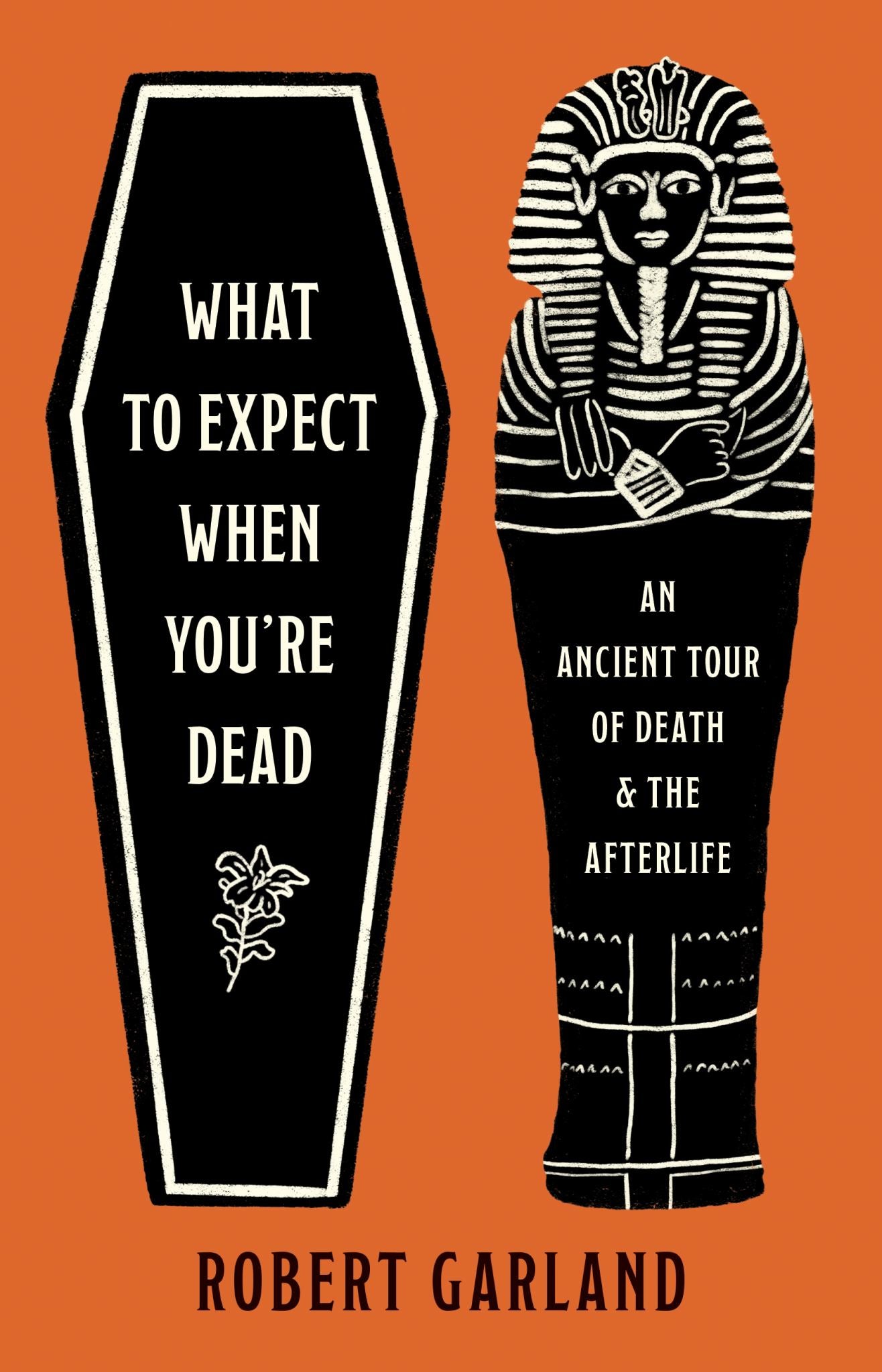 What to Expect When You're Dead Cover Image