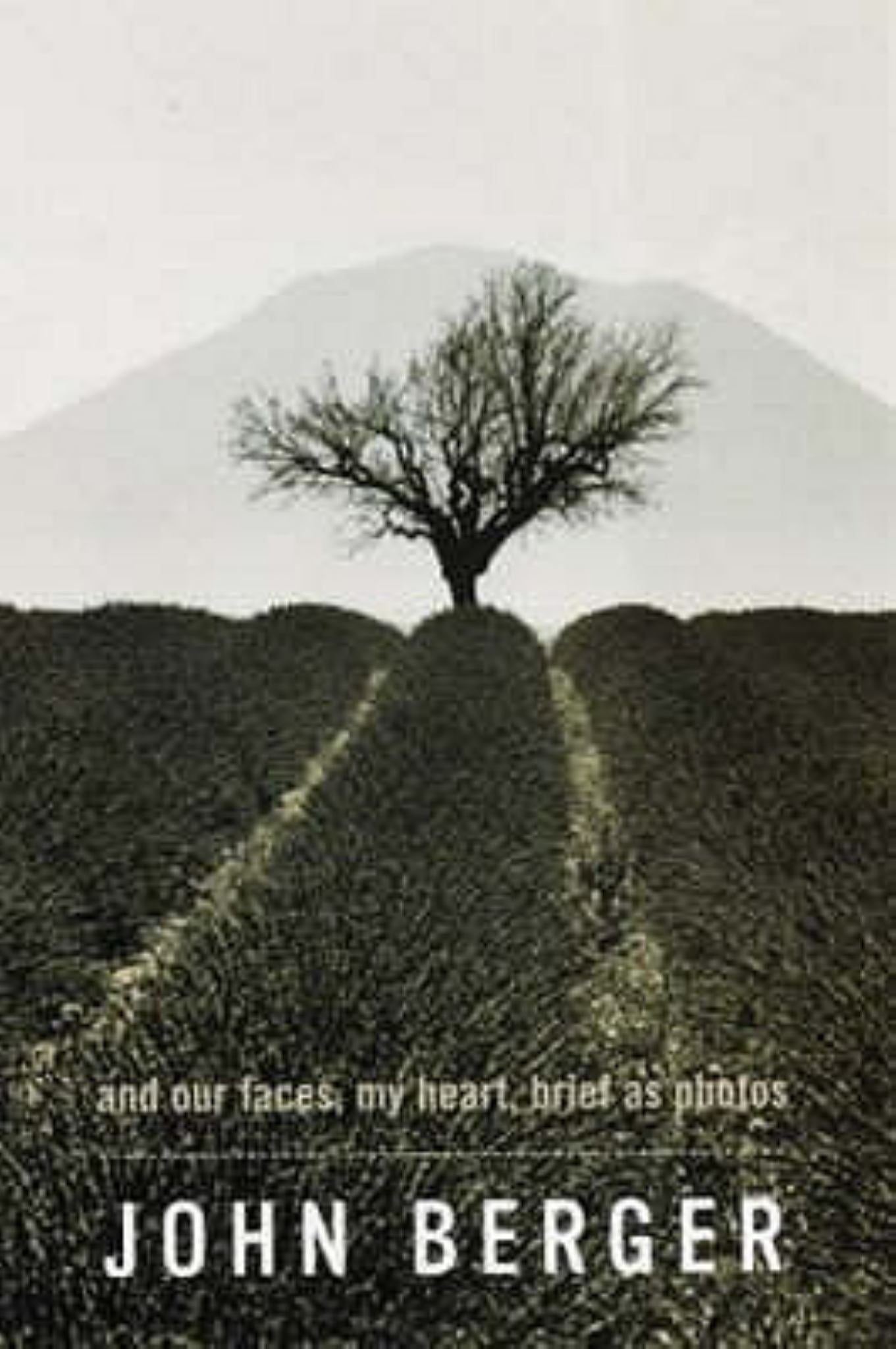 And Our Faces, My Heart, Brief As Photos Cover Image