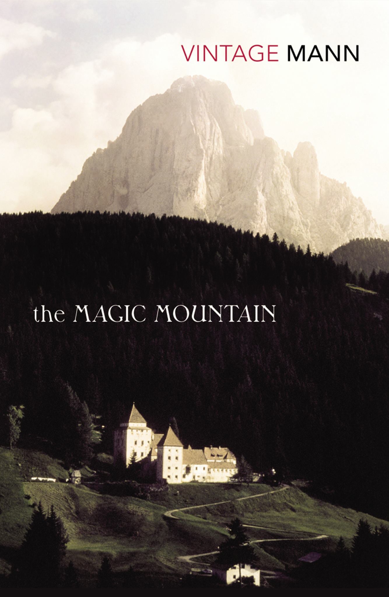 The Magic Mountain Cover Image