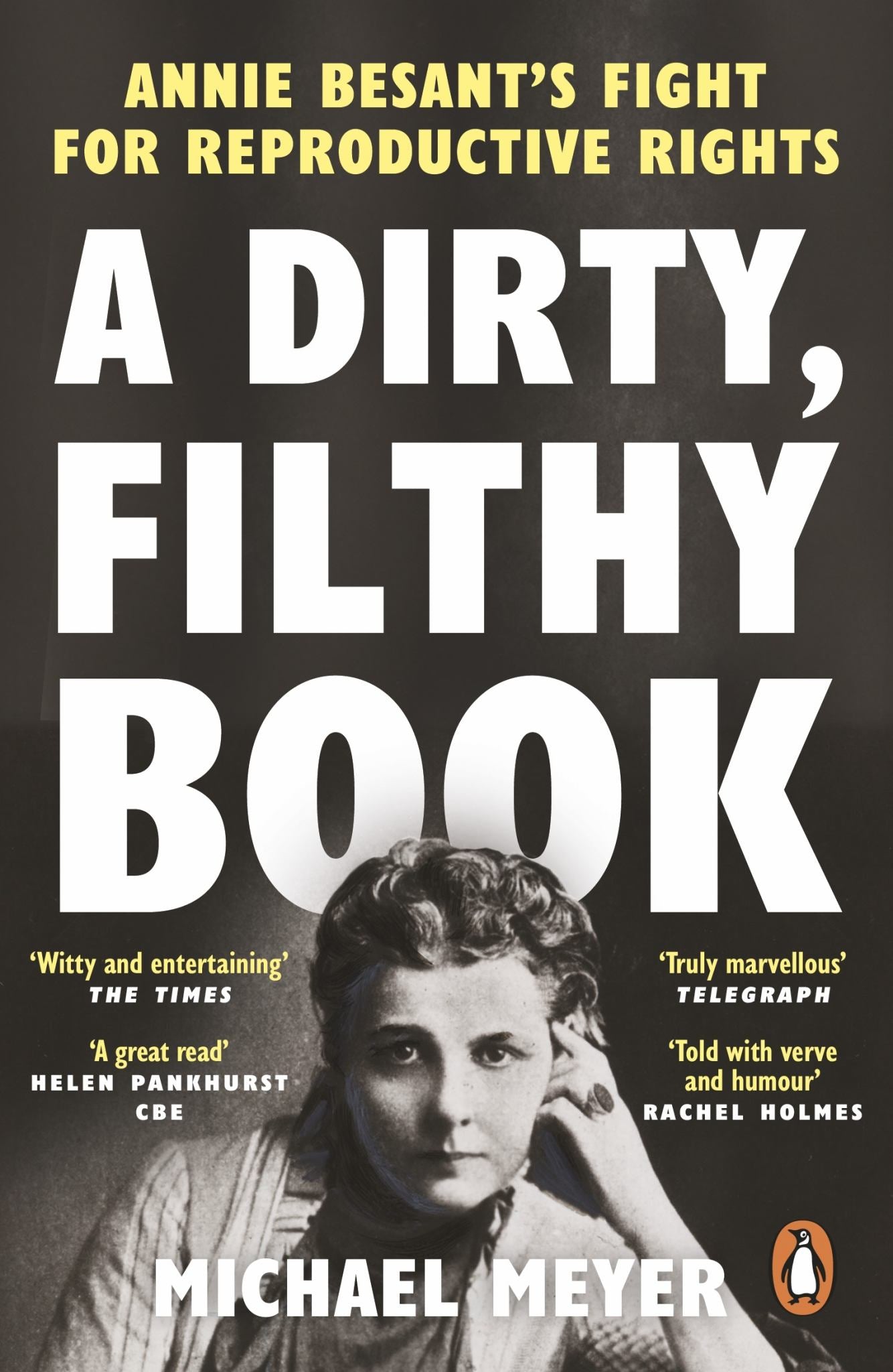 A Dirty, Filthy Book Cover Image