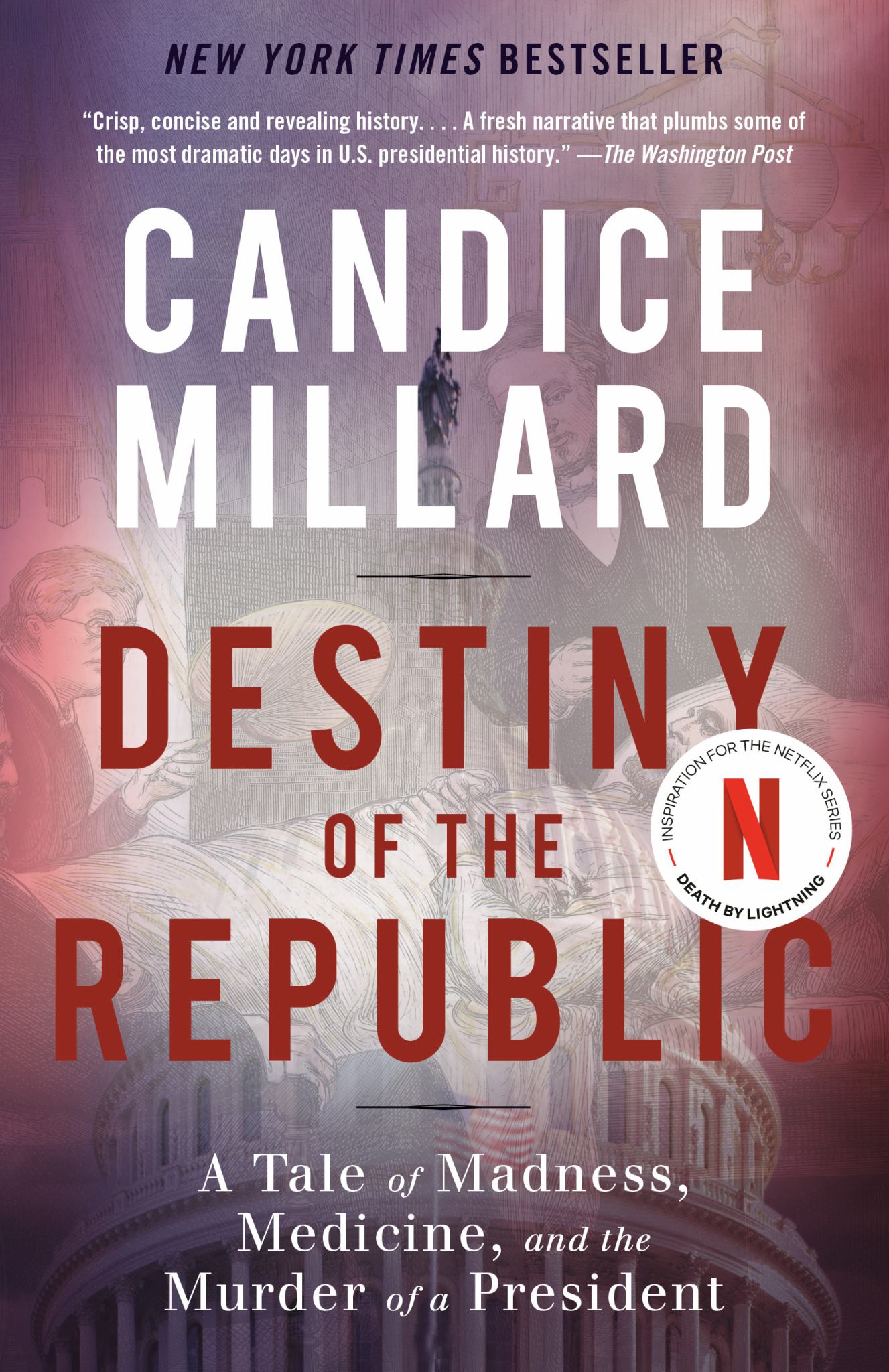 Destiny of the Republic Cover Image