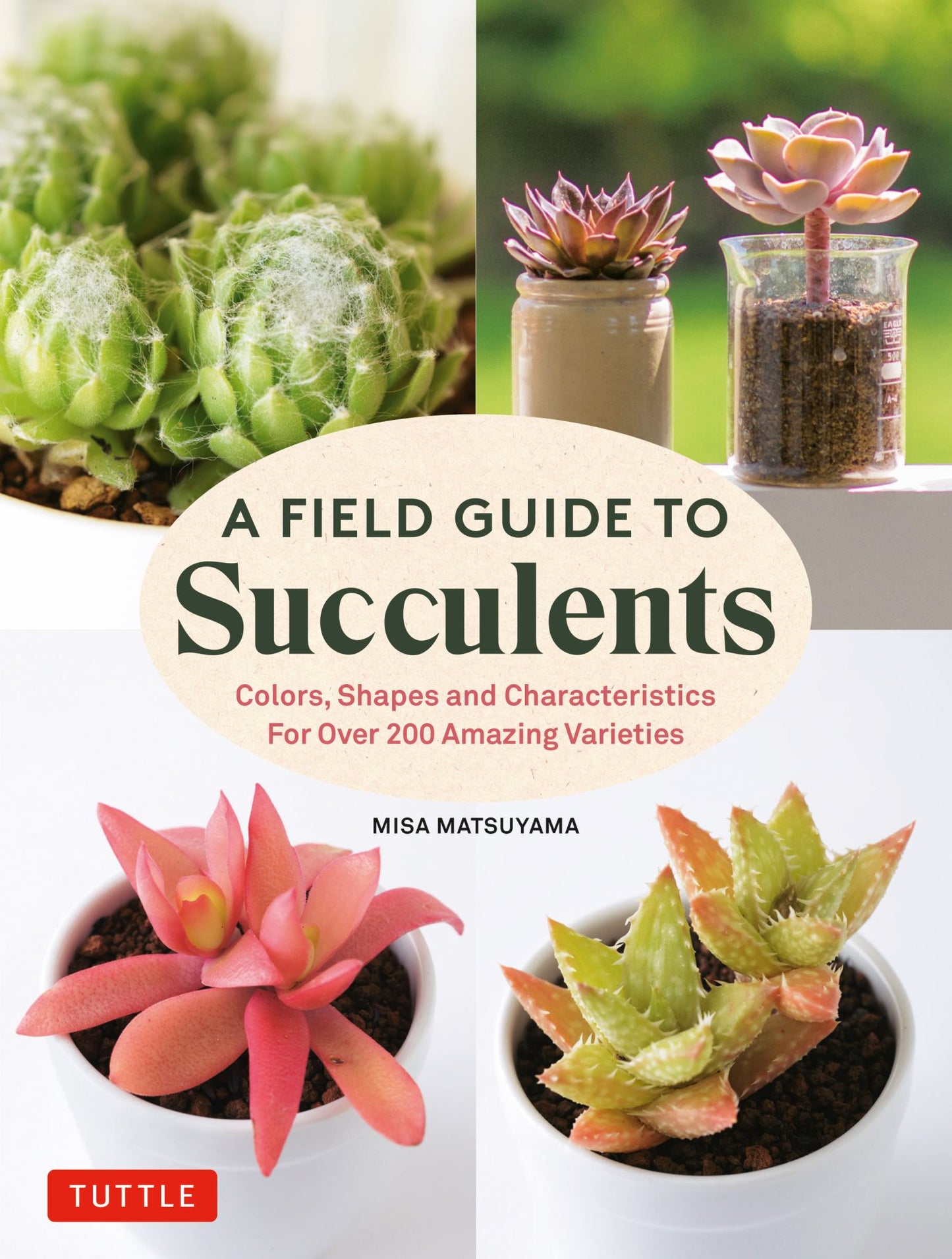 A Field Guide to Succulents Cover Image
