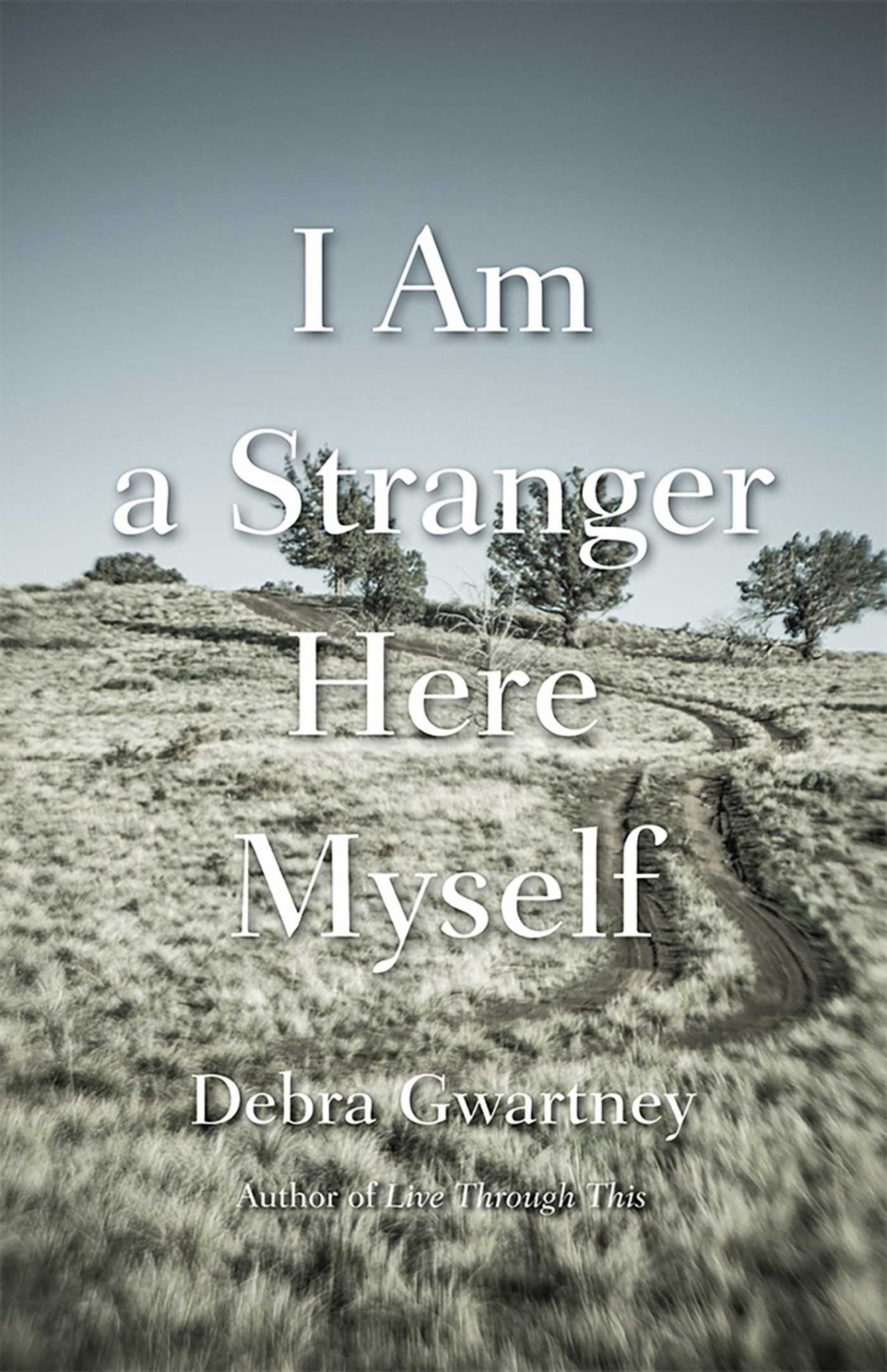 I Am a Stranger Here Myself Cover Image