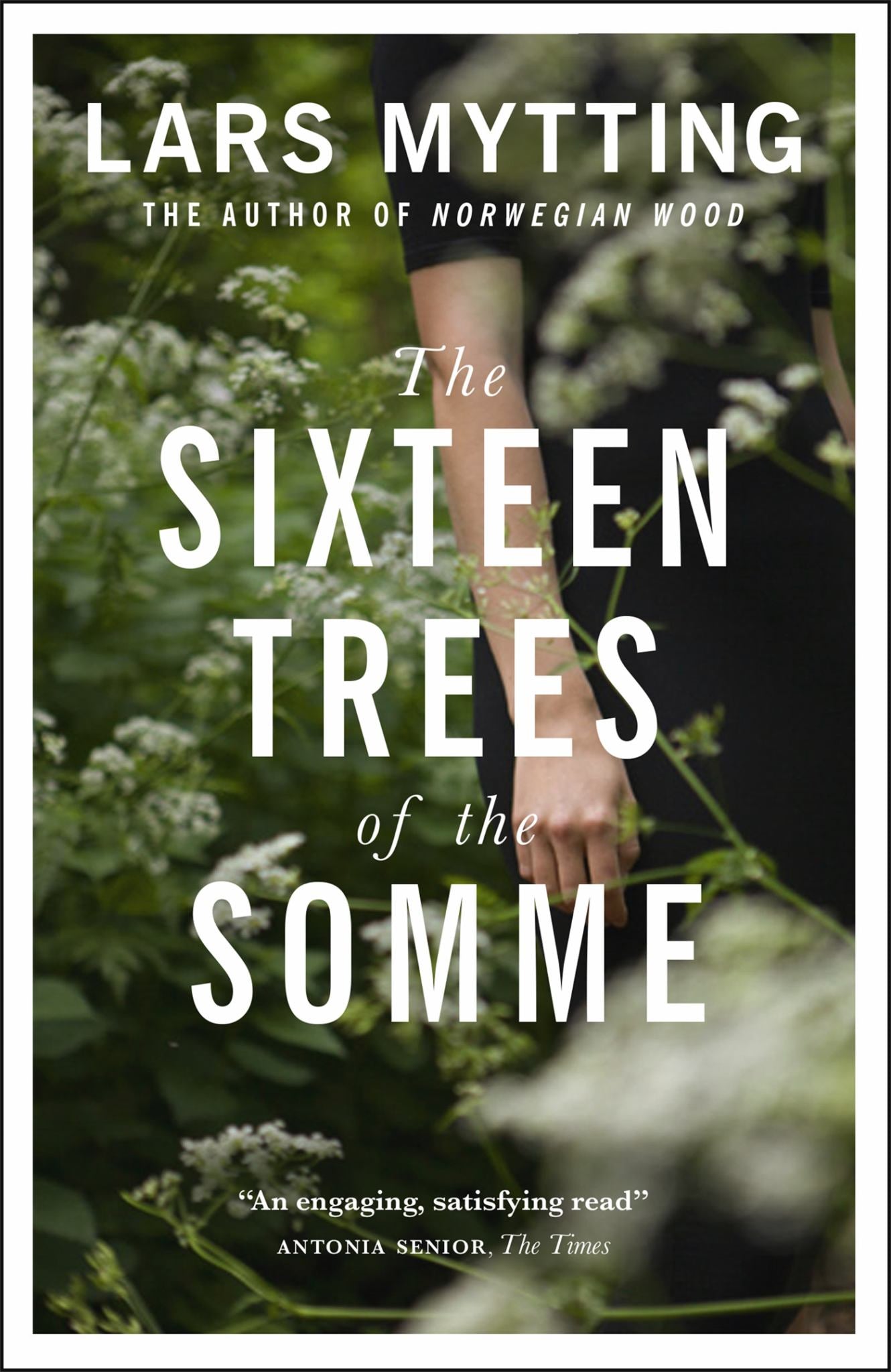 The Sixteen Trees of the Somme Cover Image