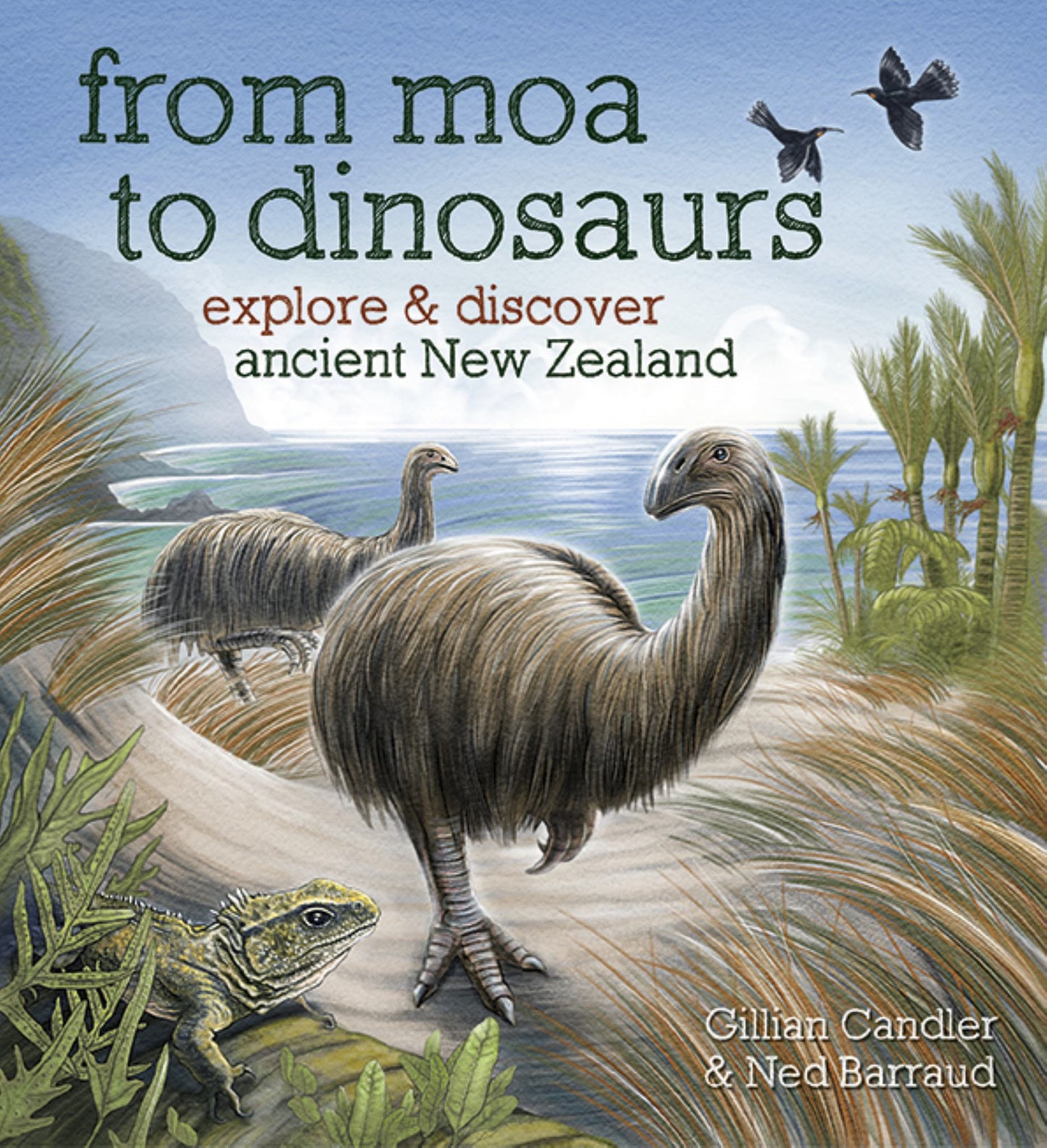 From Moa to Dinosaurs PB Cover Image